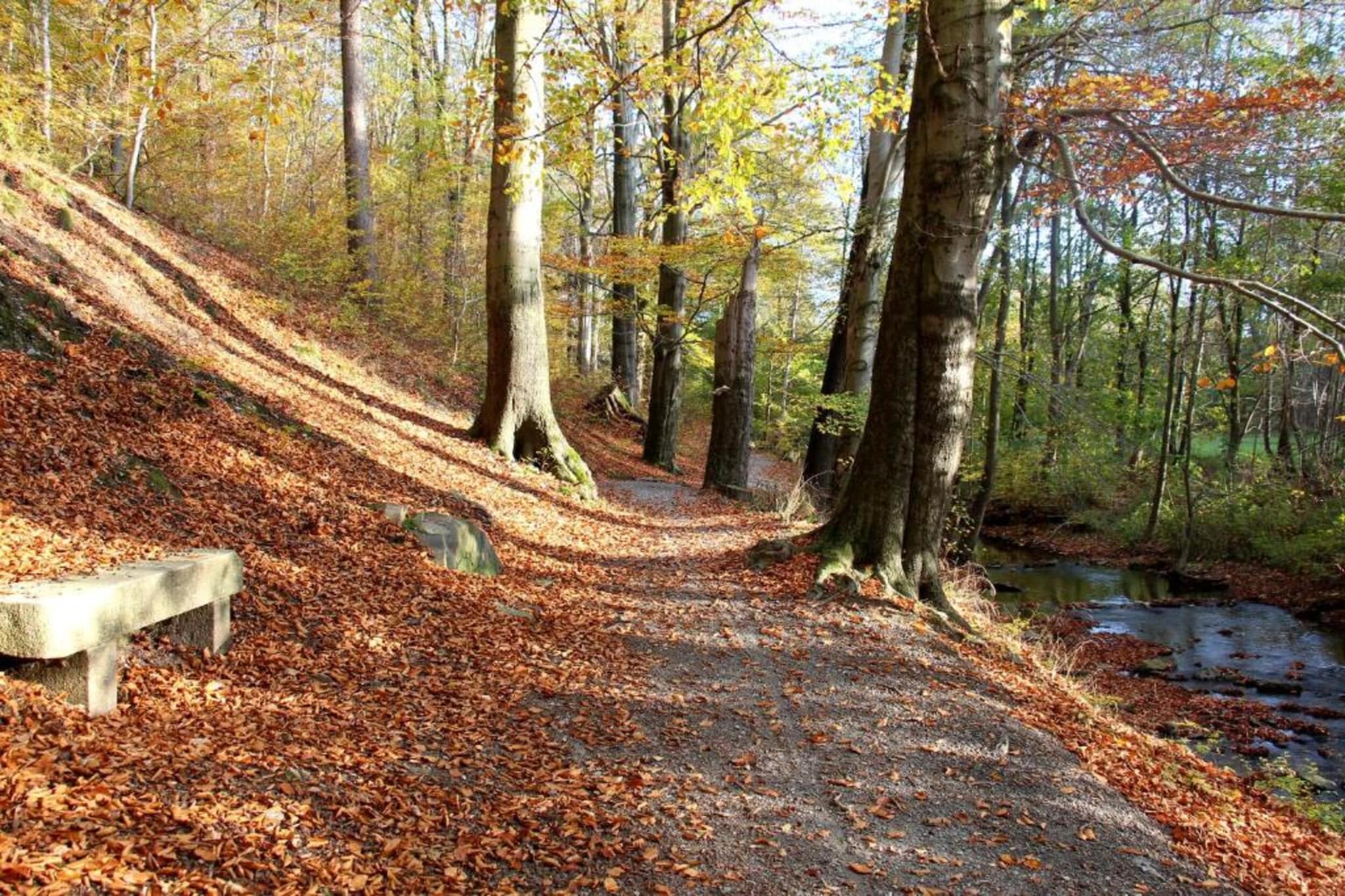 Zum Erzgebirge-Gebieden zomer 20km