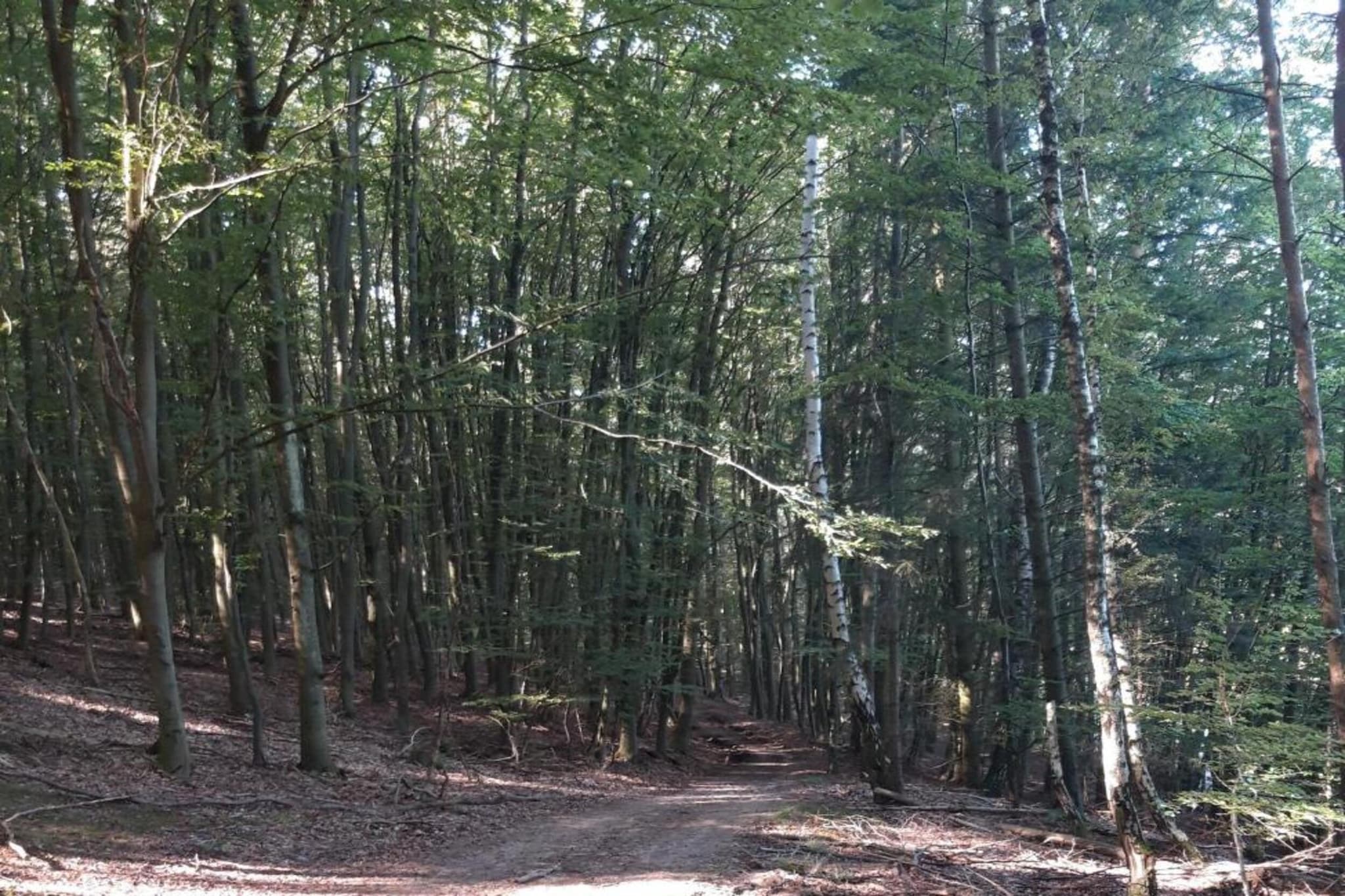 Ober-Waroldern-Gebieden zomer 20km