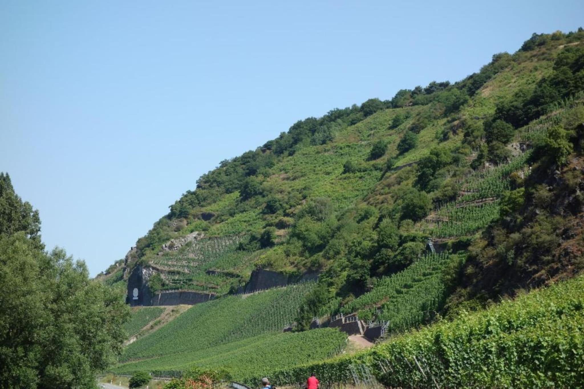 Ober-Waroldern-Gebieden zomer 20km