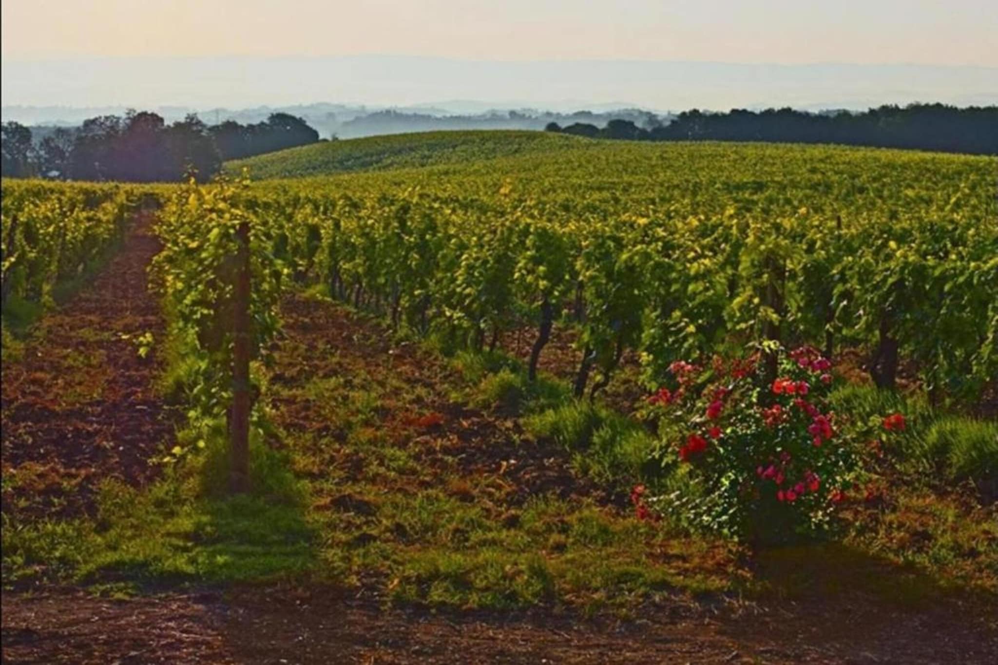 Casa Le Meridiane-Areas summer 20km