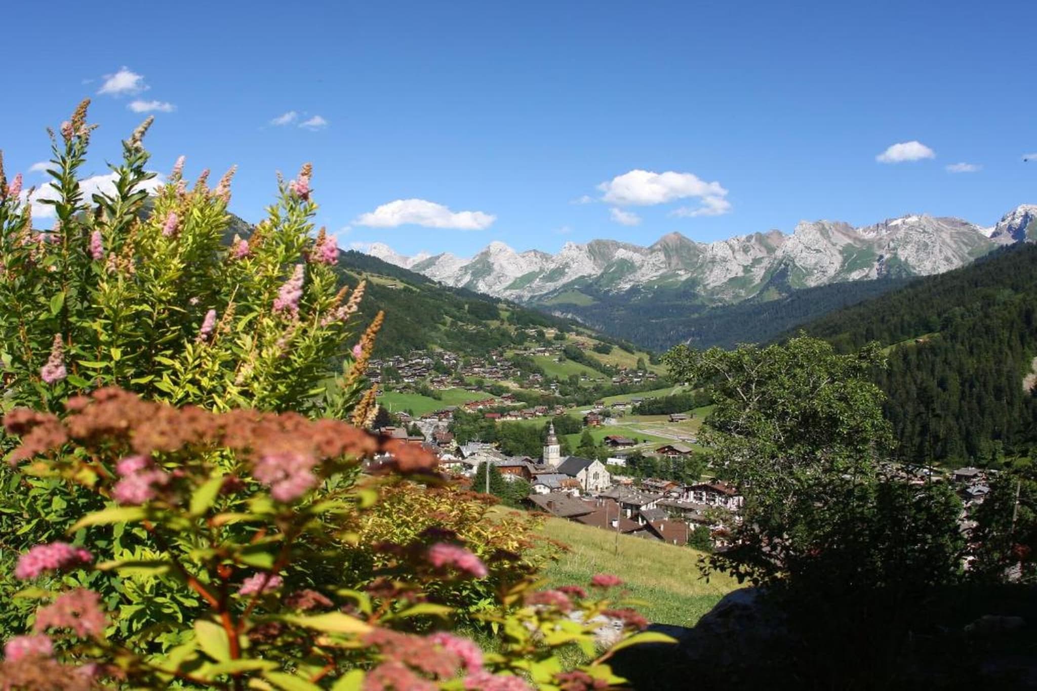 Residence Les Chalets d'Evian 2-Gebieden zomer 20km