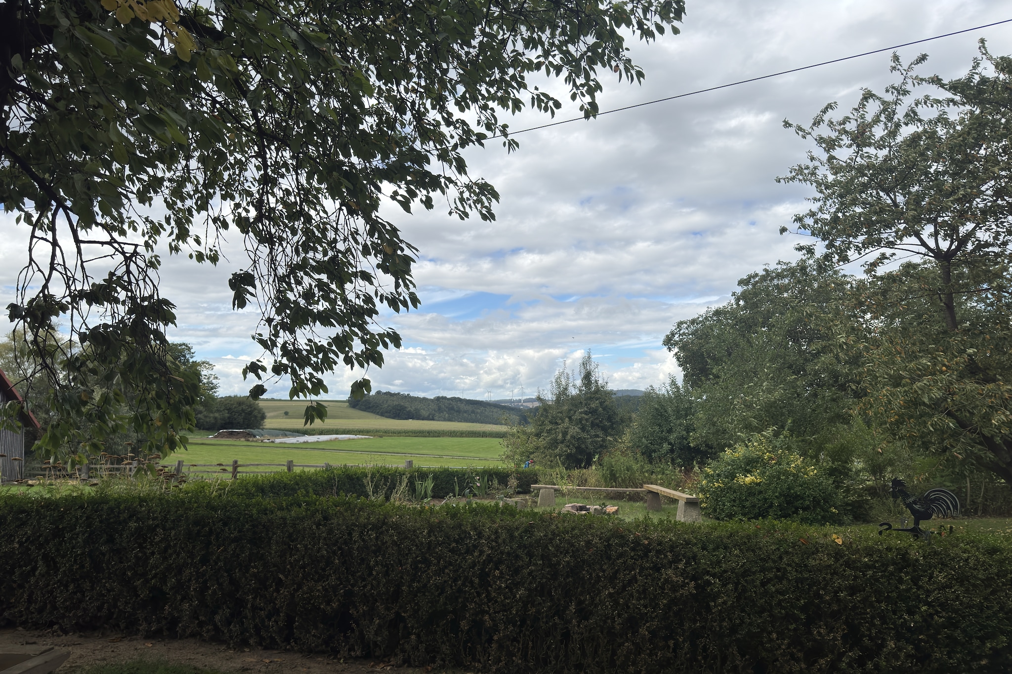 Am Ferienhof - Uitzicht zomer