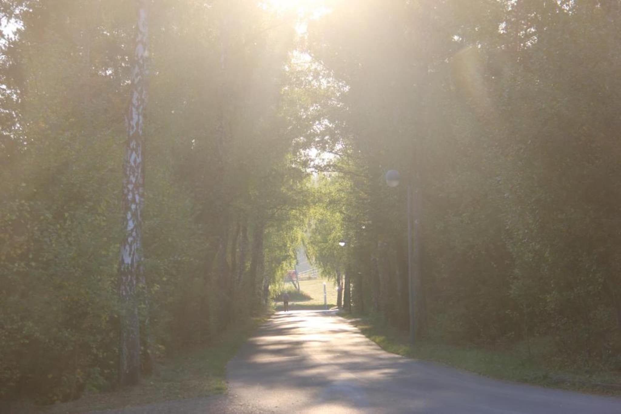 Hillesheim-Gebiete Sommer 20 km
