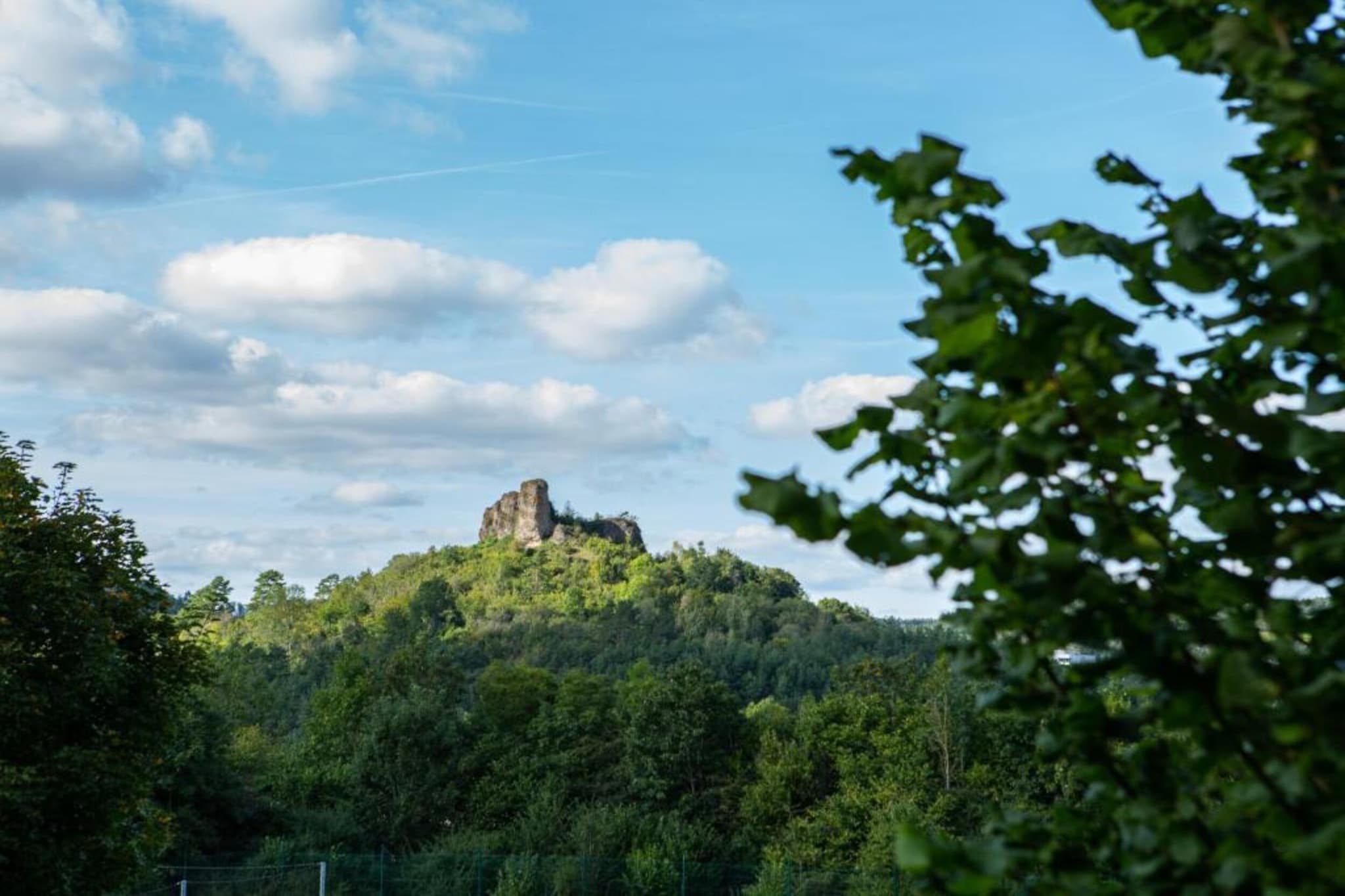 Hillesheim-Gebiete Sommer 20 km