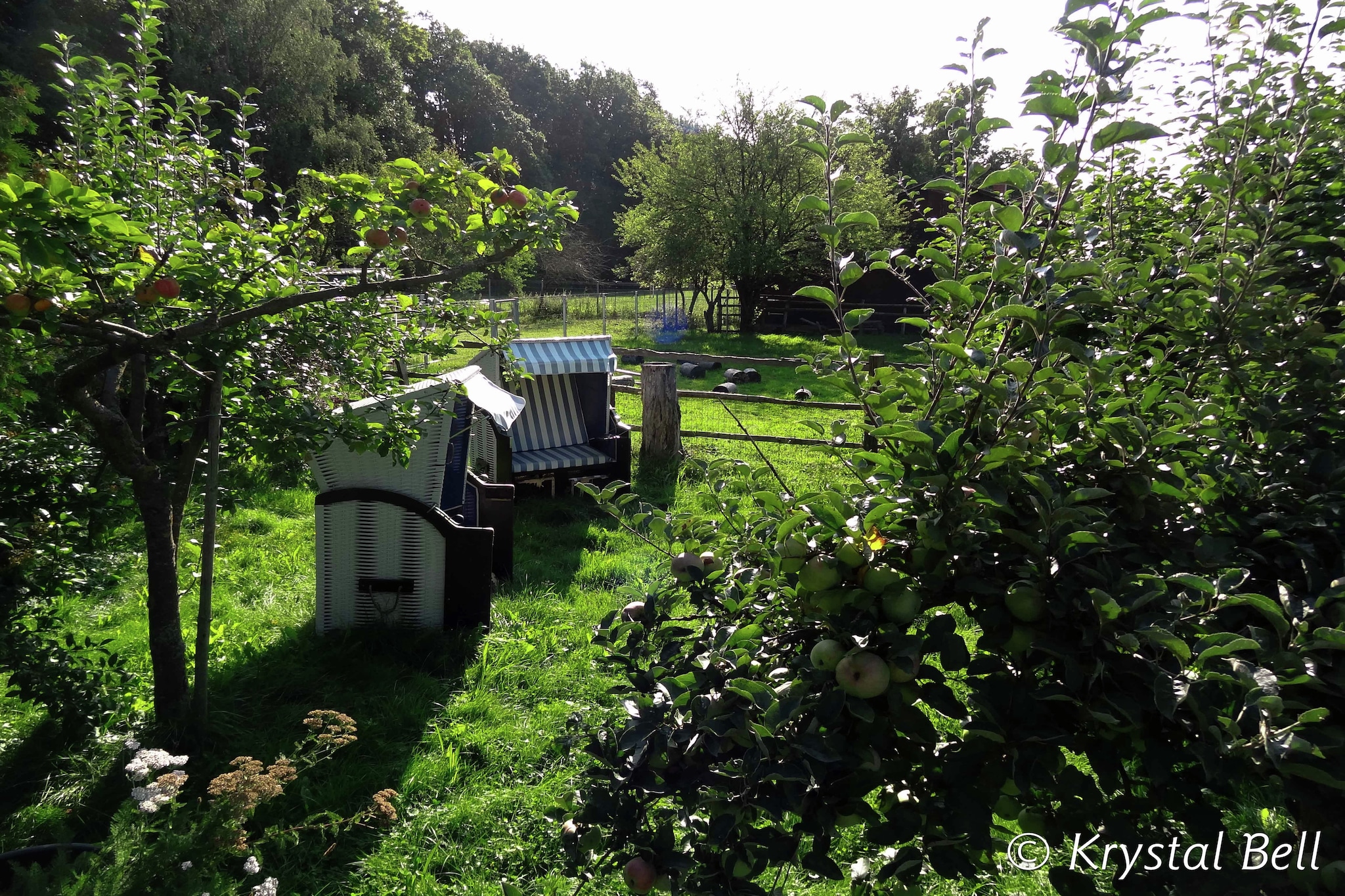 Im Kellerwald-Gardens summer