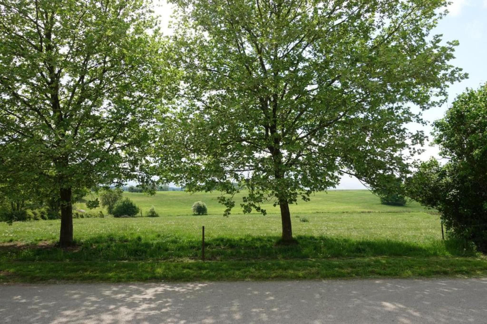 Le Marteaubois-Gebieden zomer 20km