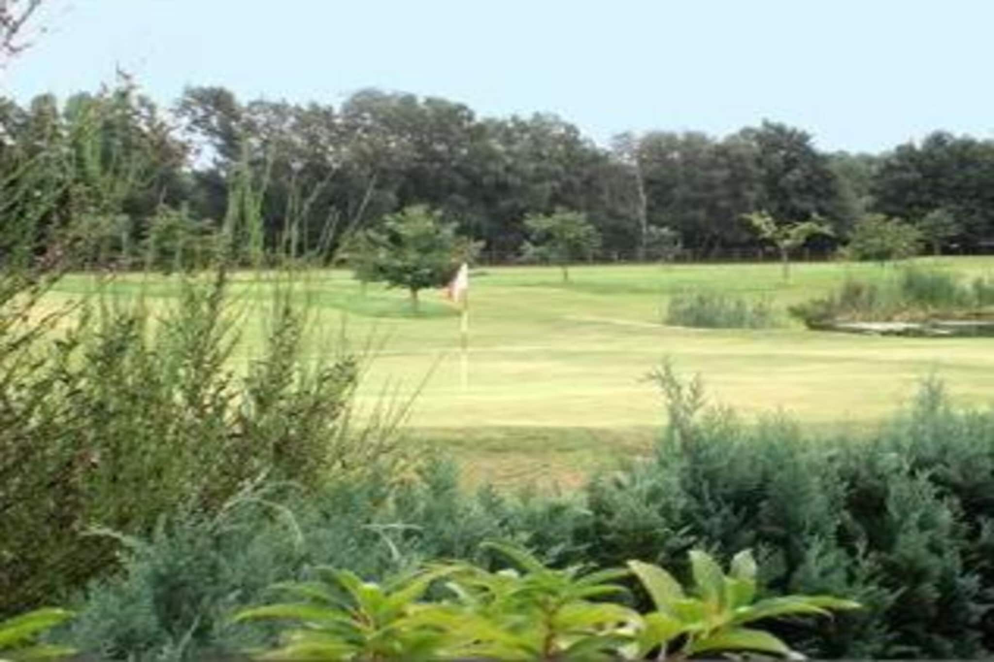 Ferienresort Bad Bentheim 4-Gebieden zomer 20km