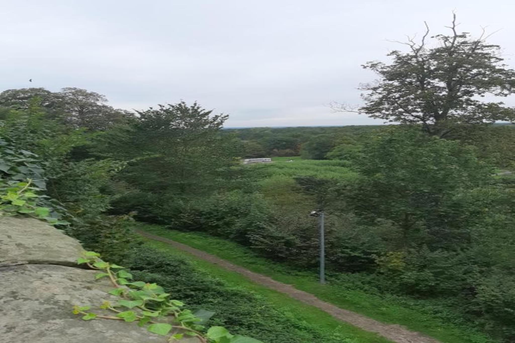 Ferienresort Bad Bentheim 4-Gebieden zomer 20km