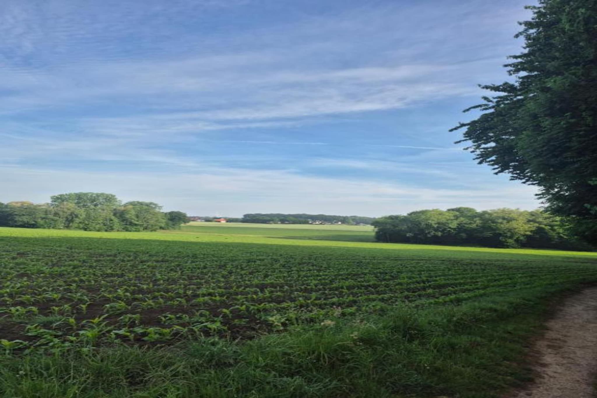 Ferienresort Bad Bentheim 4-Gebieden zomer 20km