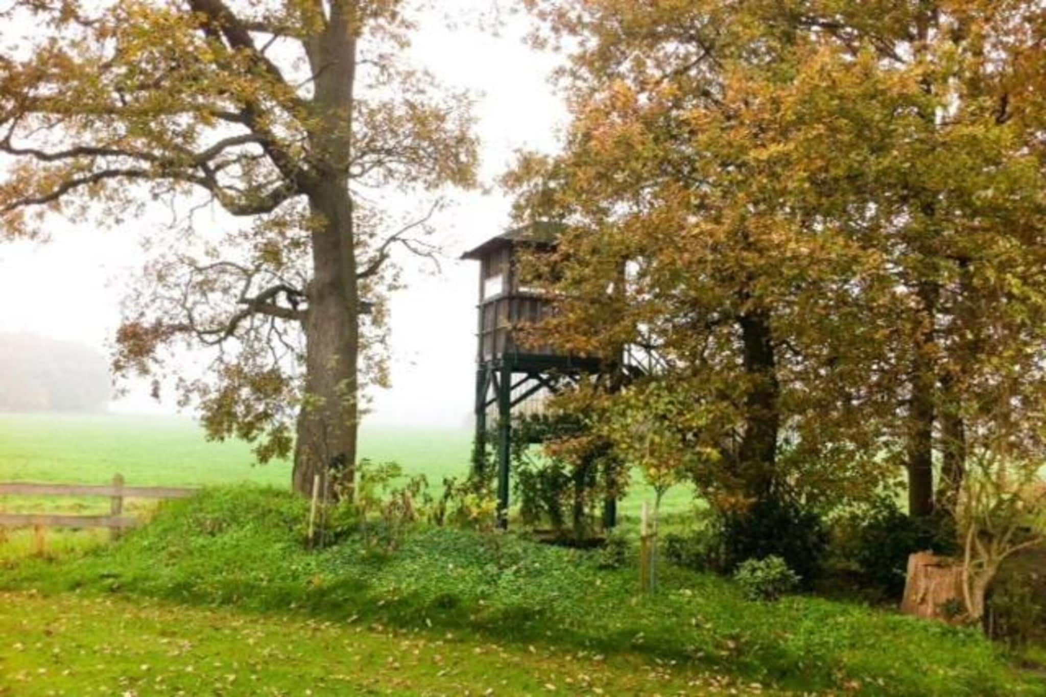 Ferienresort Bad Bentheim 6-Gebieden zomer 20km