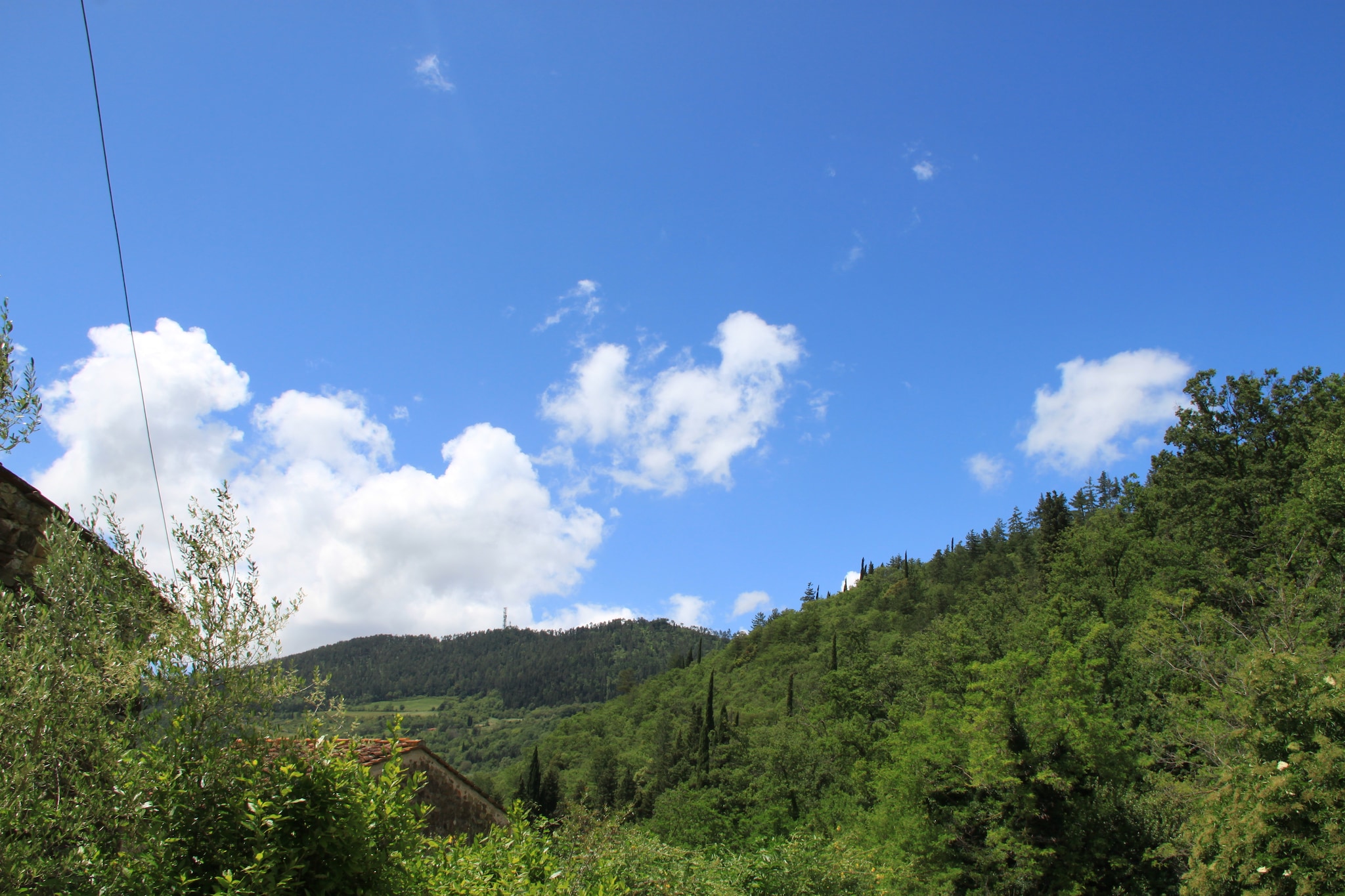 Le Olive-View summer