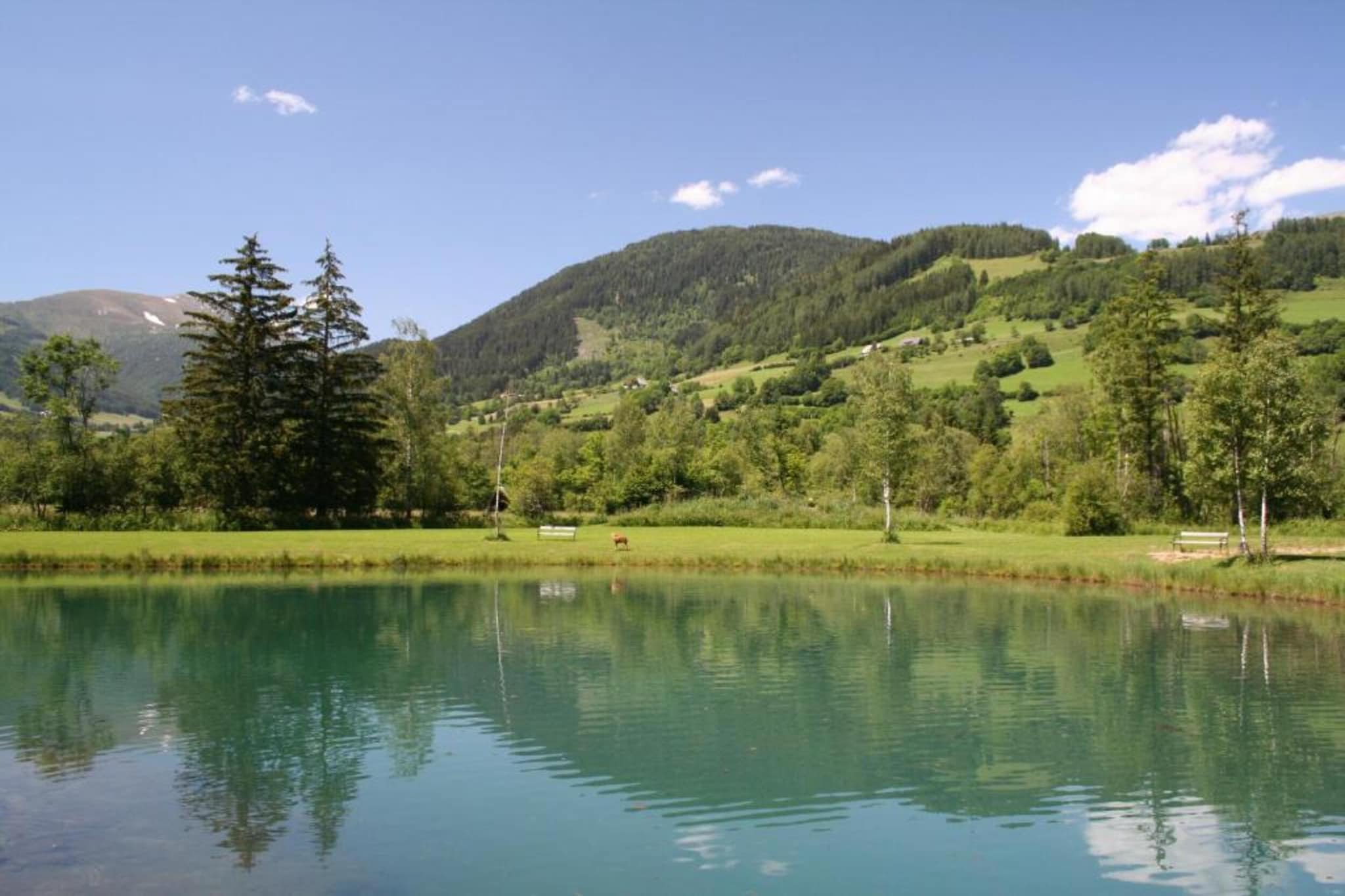 The Austrian Chalet-Gebieden zomer 20km