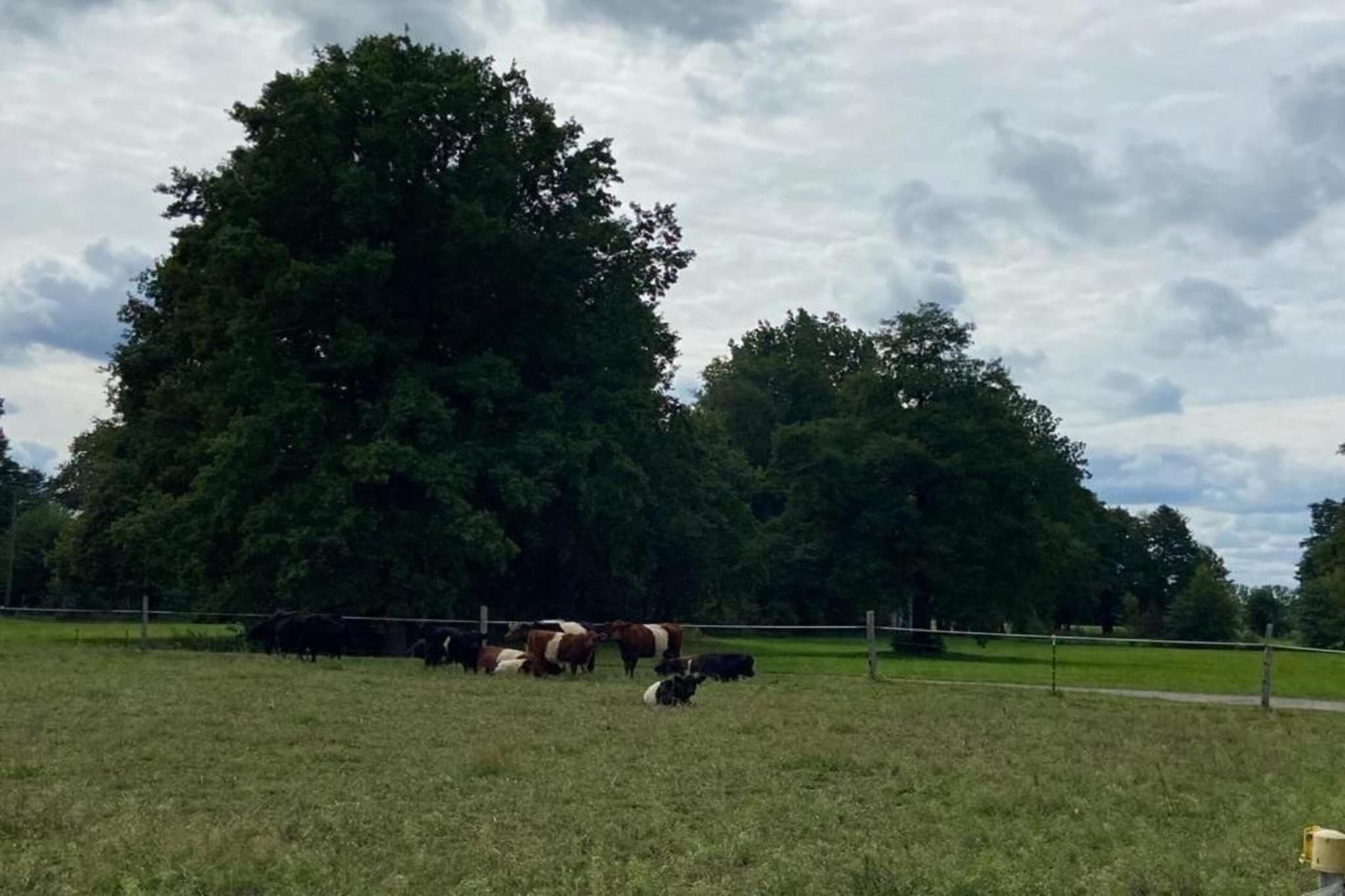 Ferienhaus Lausch-Gebieden zomer 5km