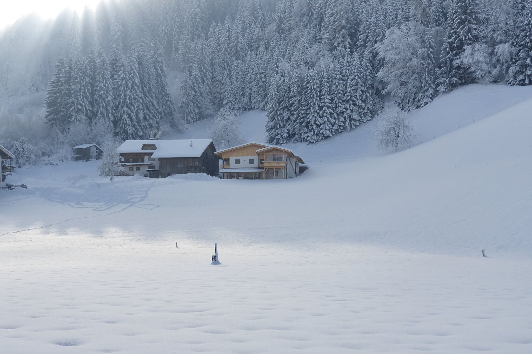 Appartement à Kaltenbach Tyrol près du ski nu