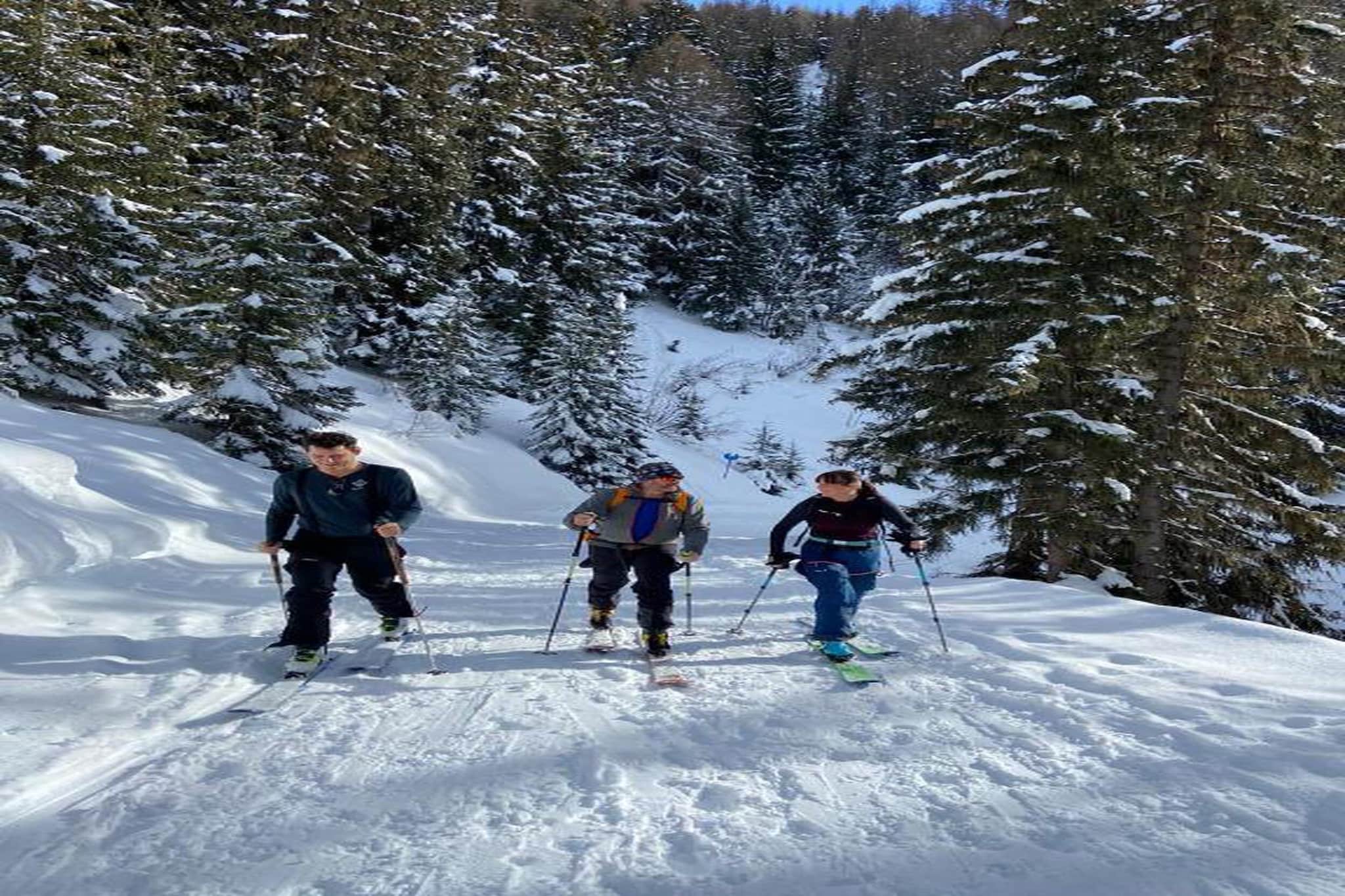 Chalet Le Refuge 4-Area winter 20km