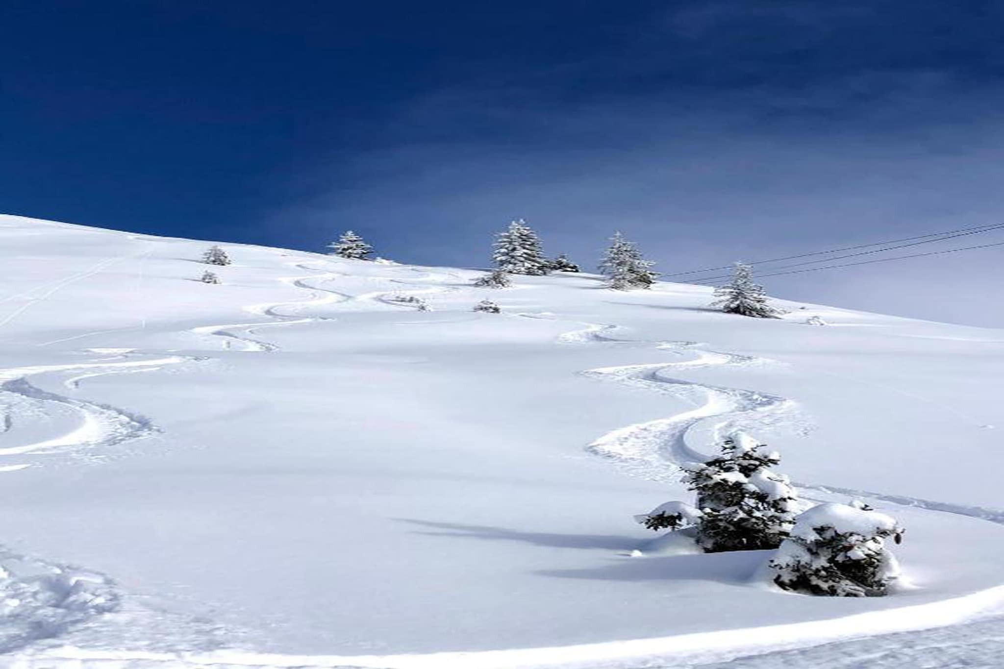 Chalet Le Refuge 4-Area winter 20km