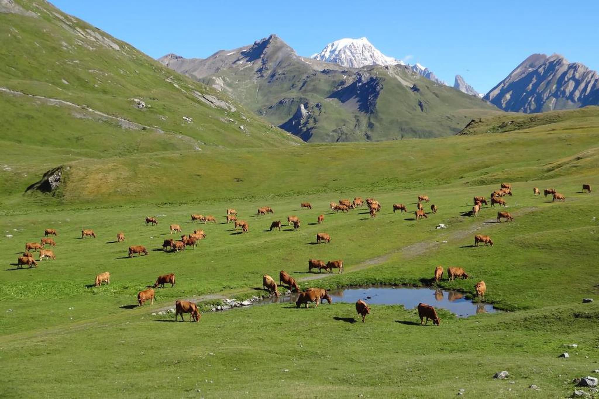 Chalet Le Refuge 4-Areas summer 20km