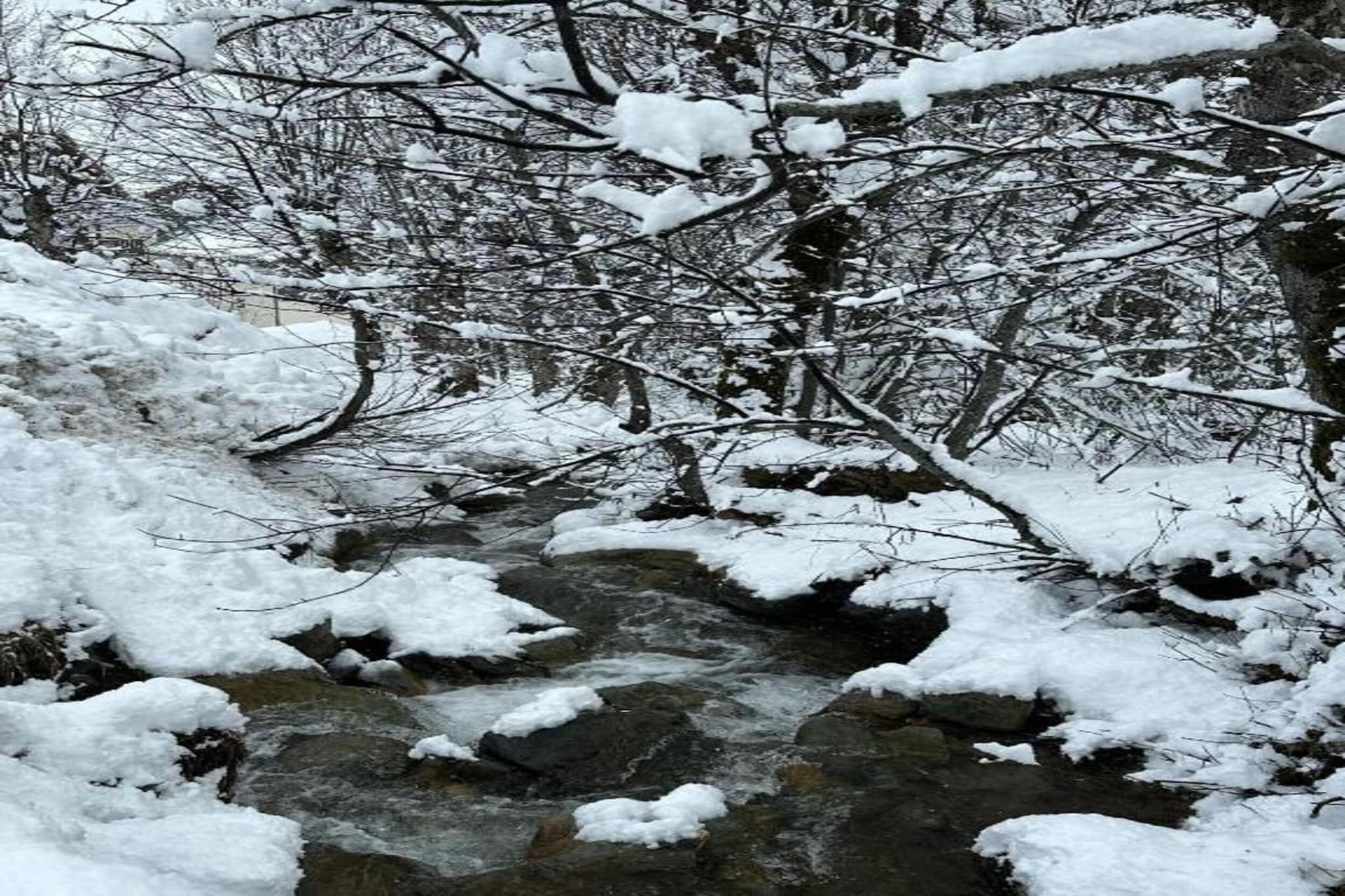 Residence Les Sybelles 2-Gebied winter 20km