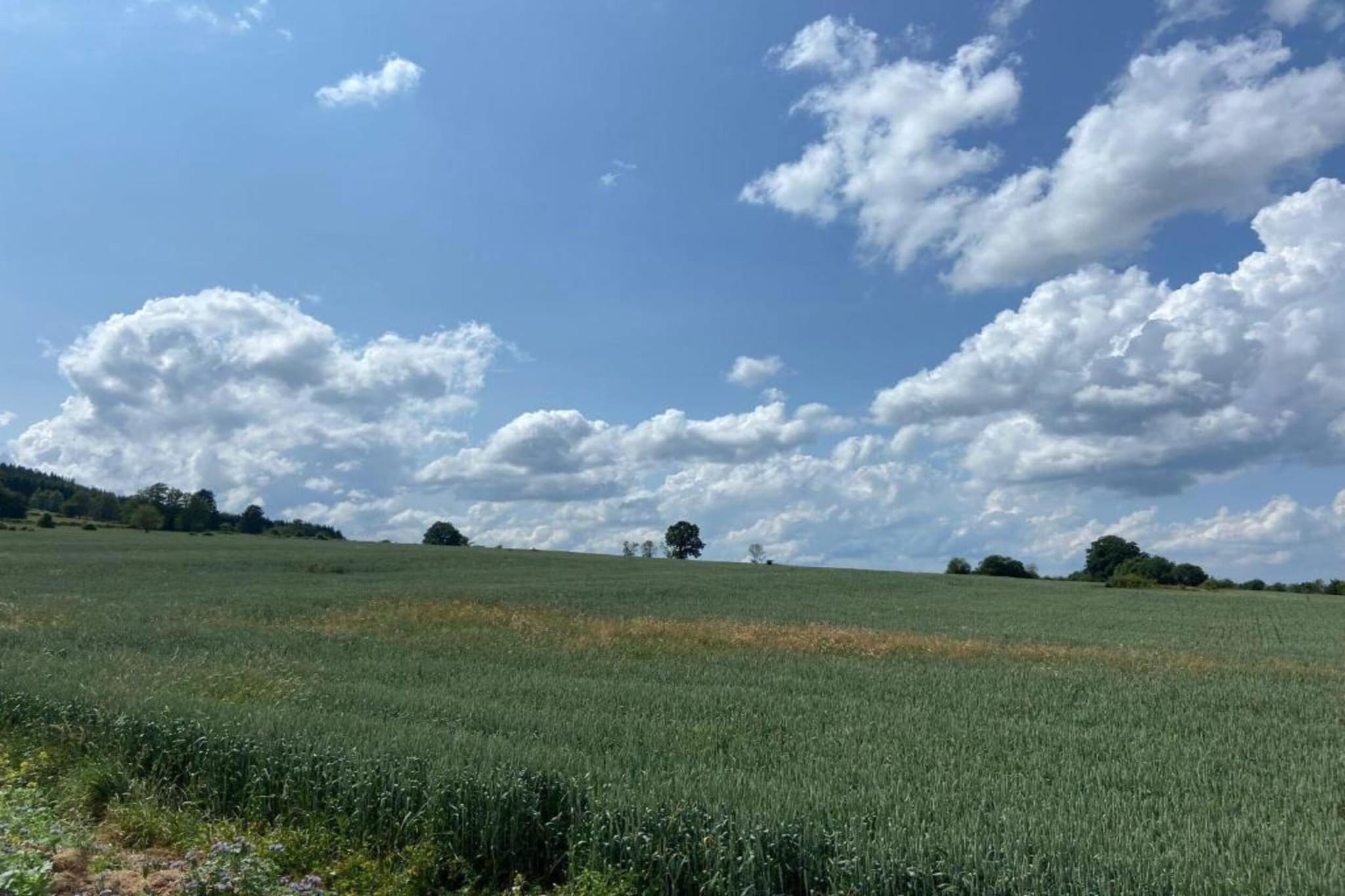 Horécalienne-Gebiete Sommer 20 km