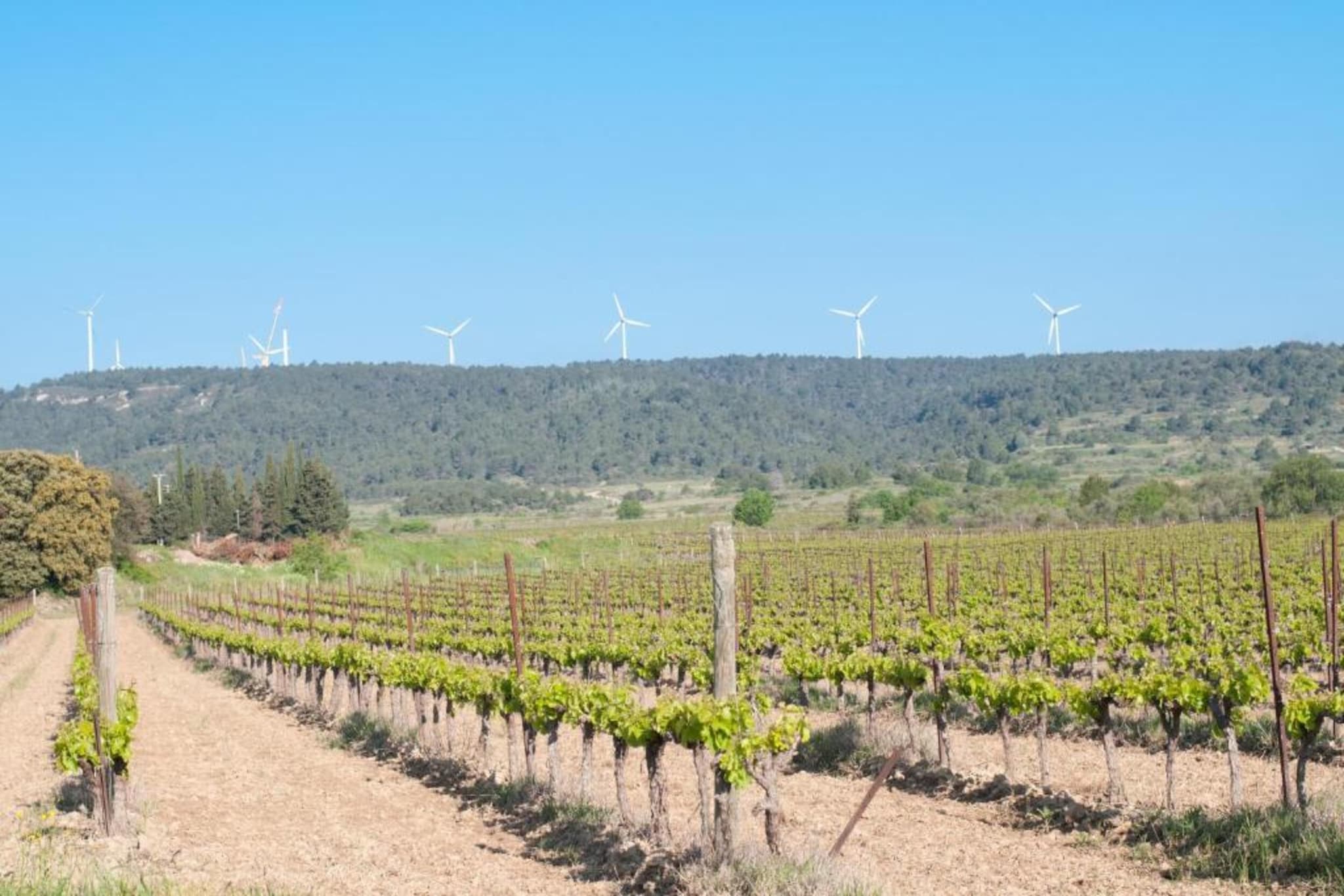 Affele - MONTBRUN-DES-CORBIÈRES-Gebieden zomer 20km
