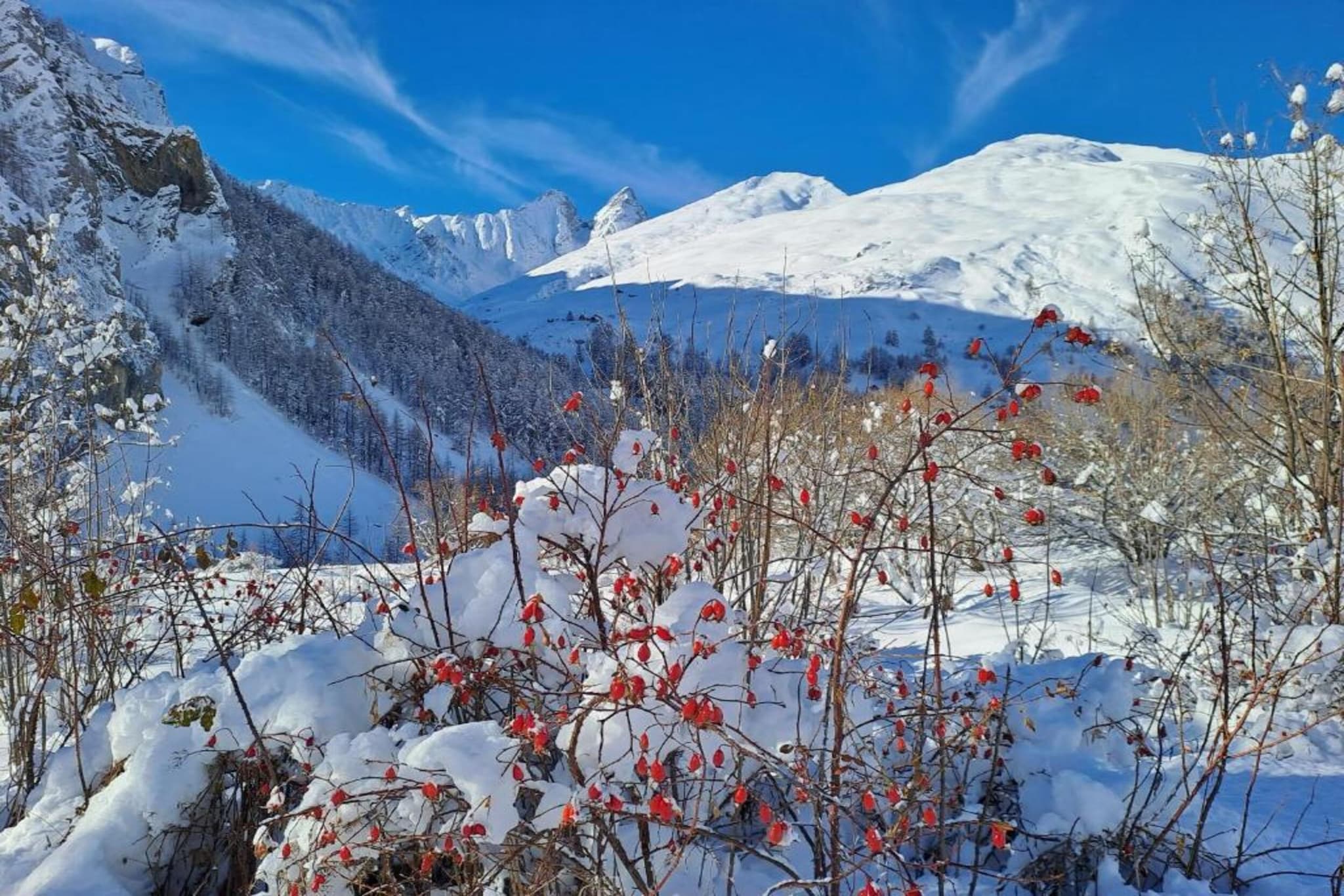 Residence Le Hameau de Valloire 3-Gebied winter 20km