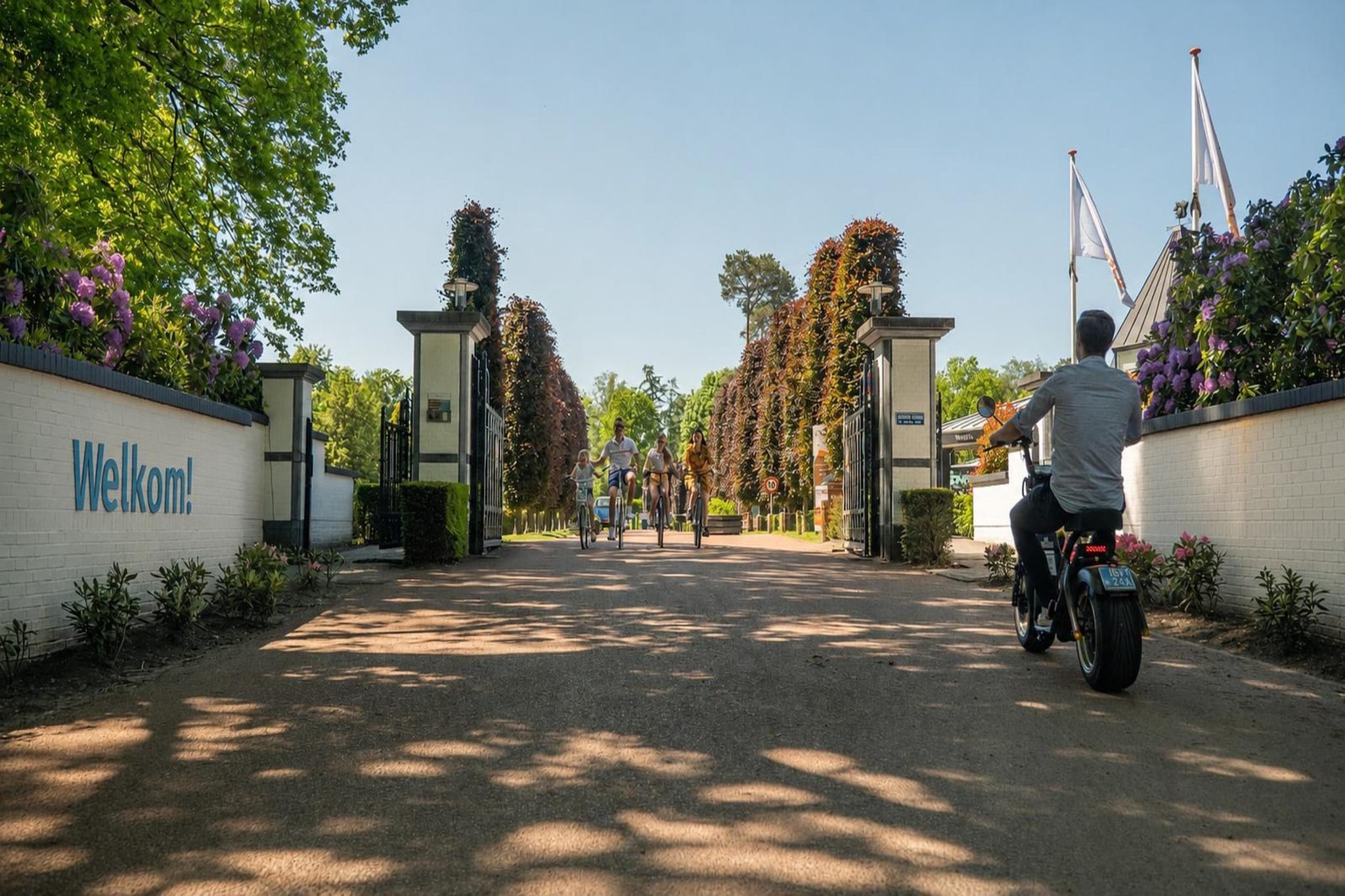 Velthorst 4 - Gebieden zomer 1km