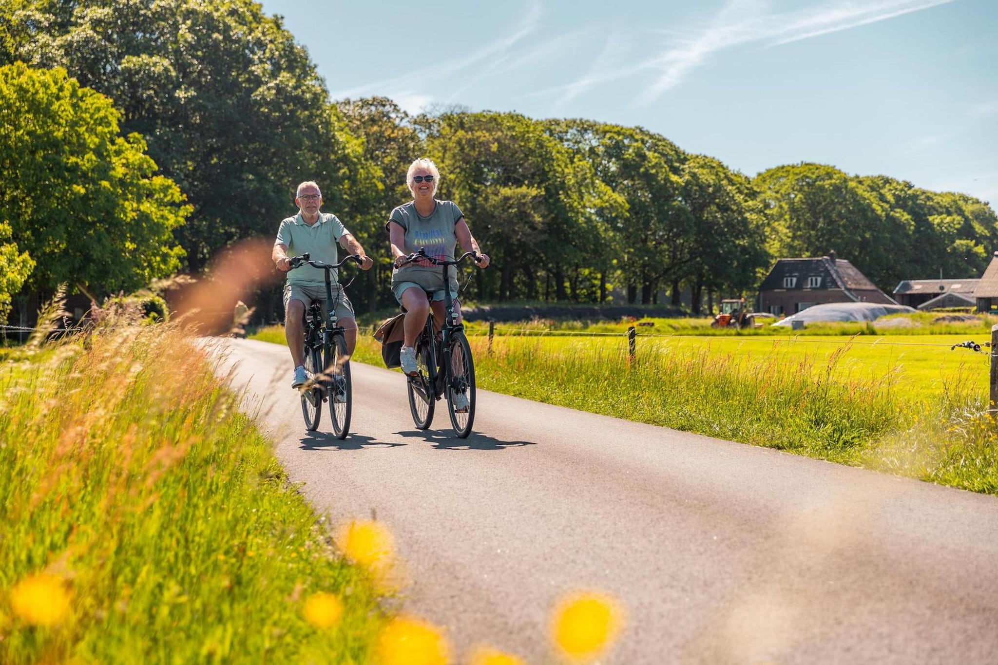 Velthorst 4 - Gebieden zomer 1km