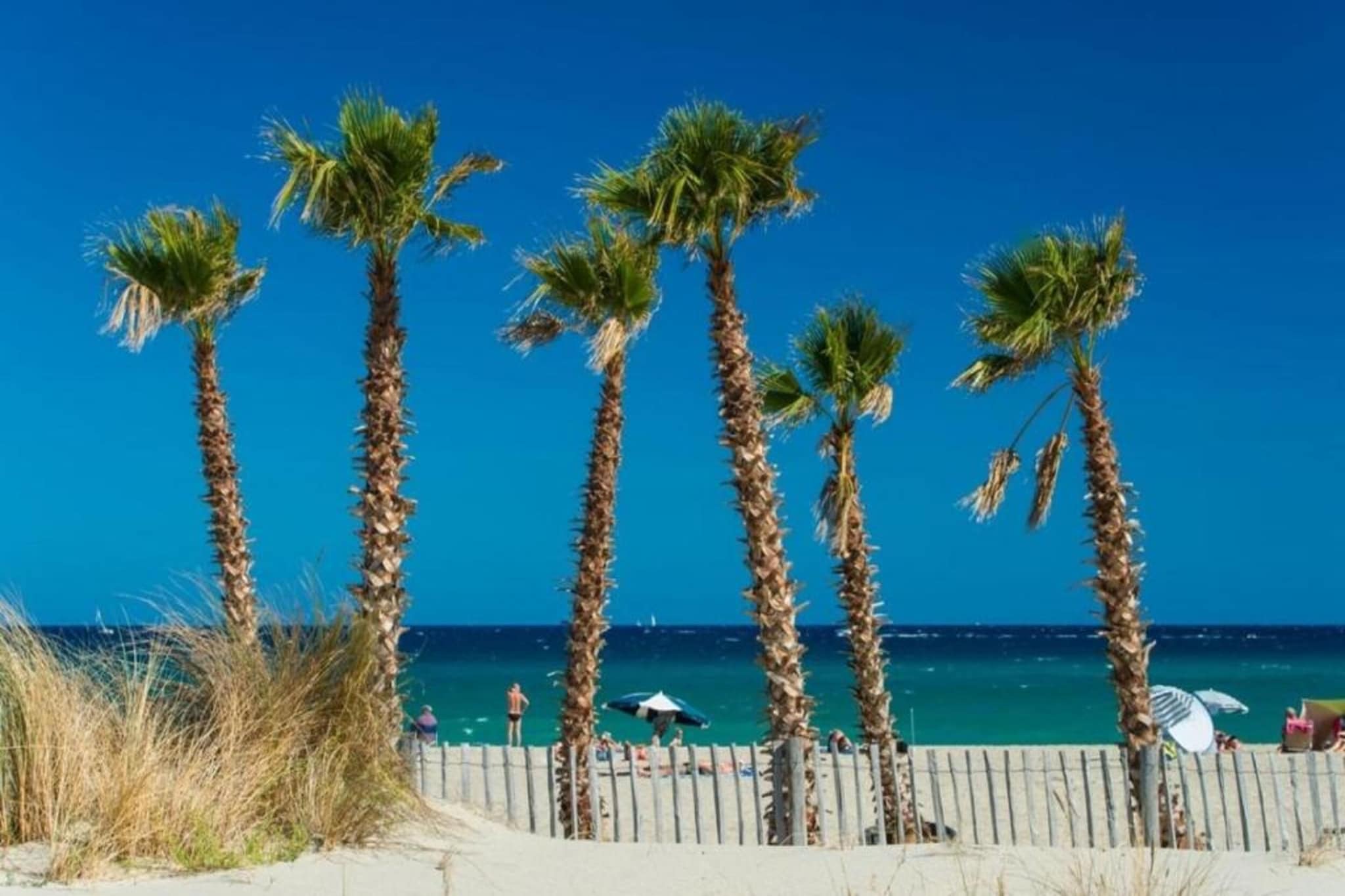 Jardins de Neptune 2-Gebieden zomer 1km