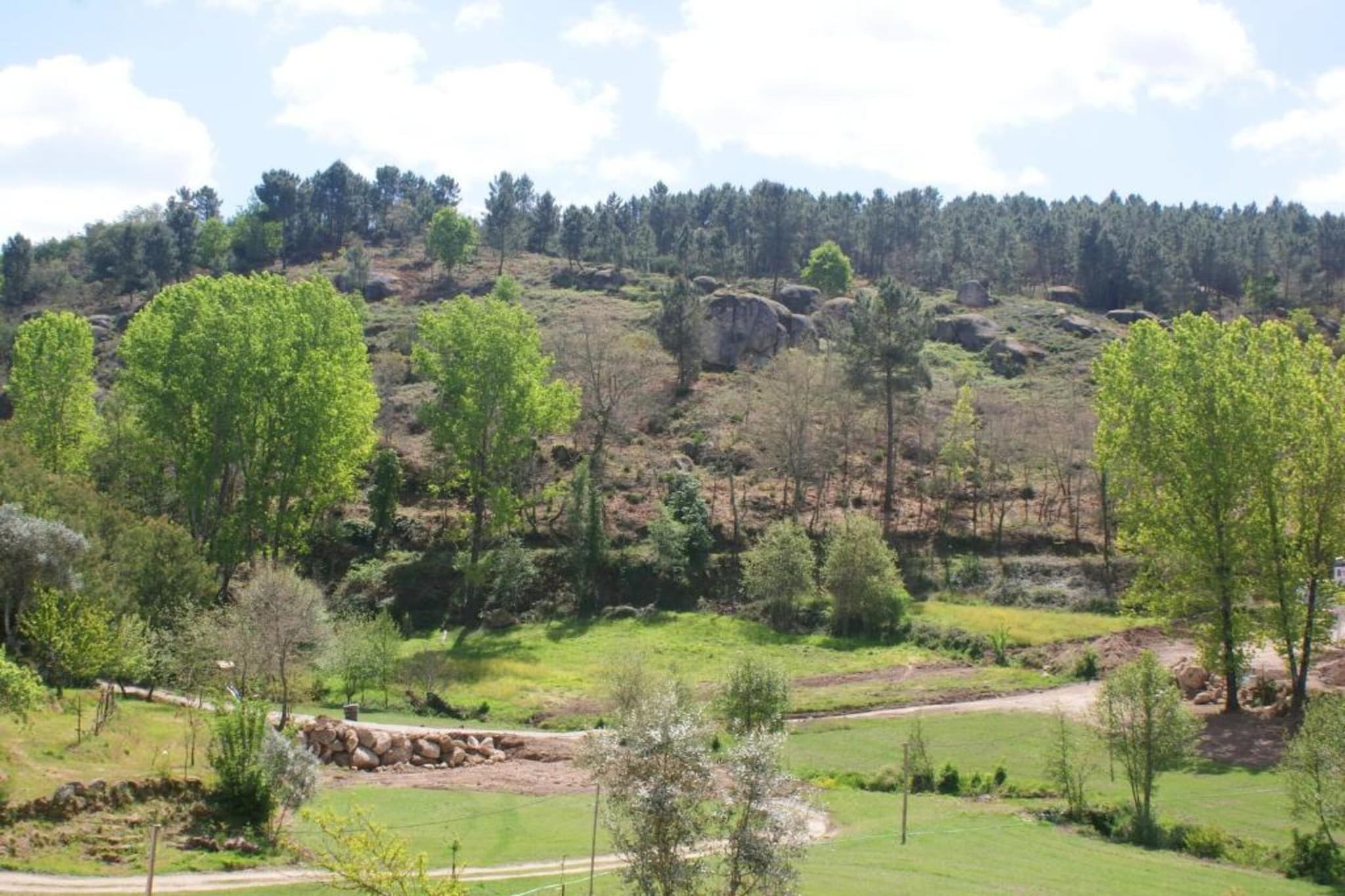 Casa Oliveirinha-Gebieden zomer 20km