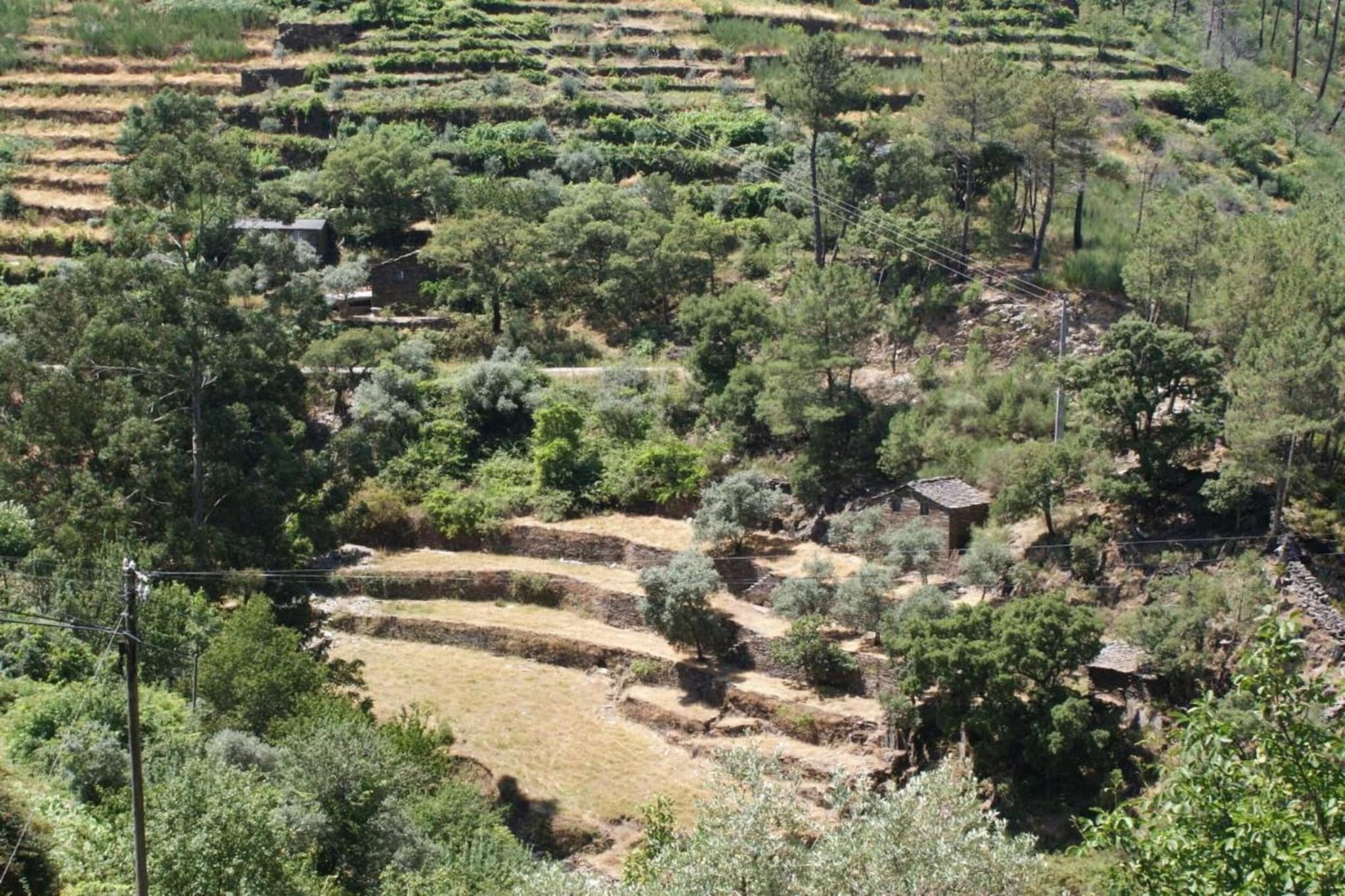 Casa Covas-Areas summer 20km
