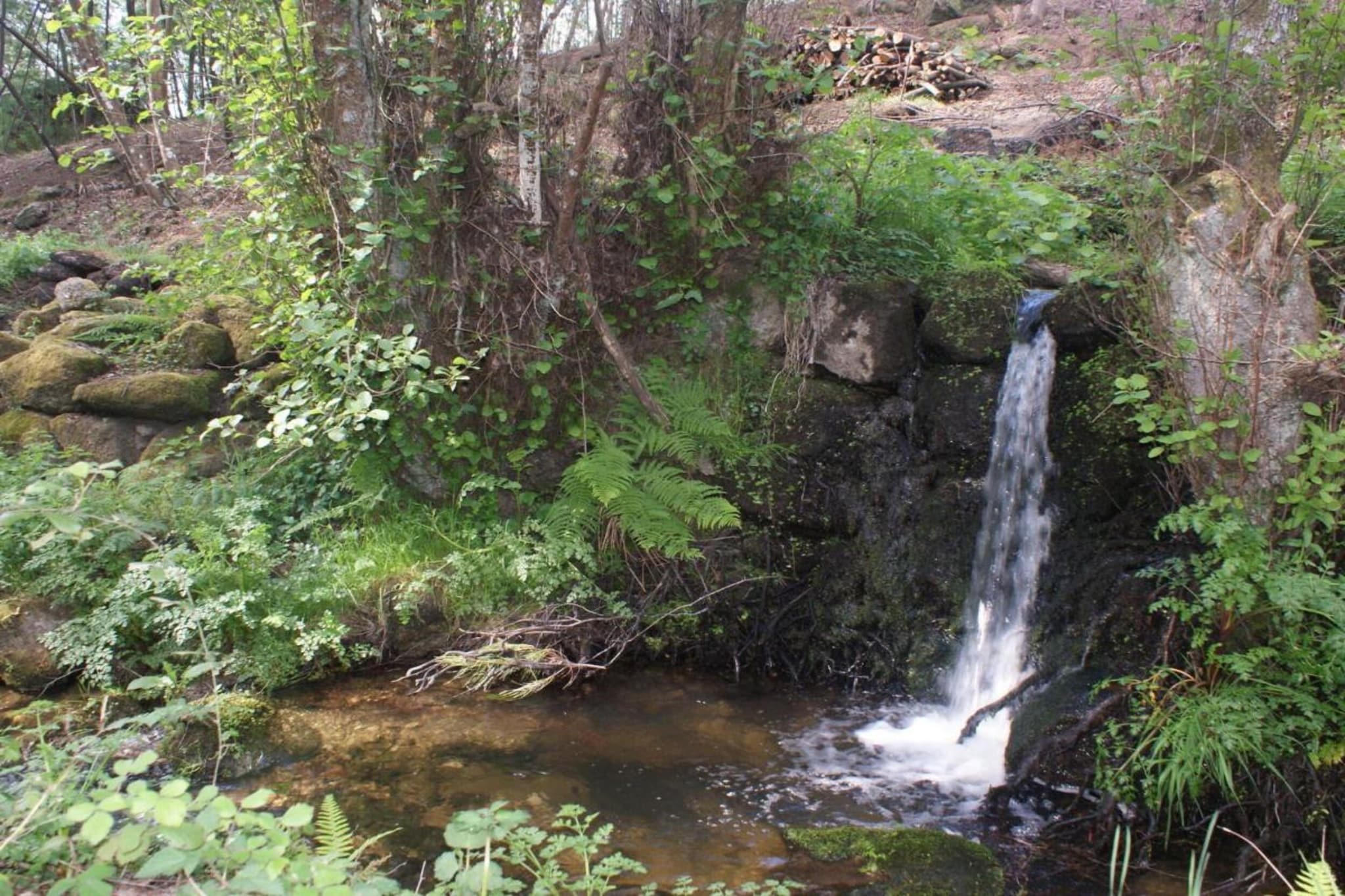 Casa Covas-Areas summer 20km