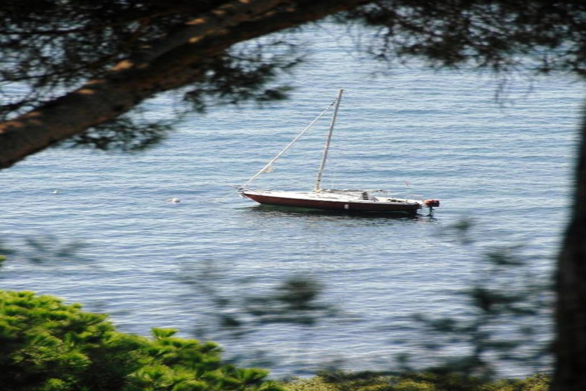 Residence Port Marine 2-Areas summer 20km