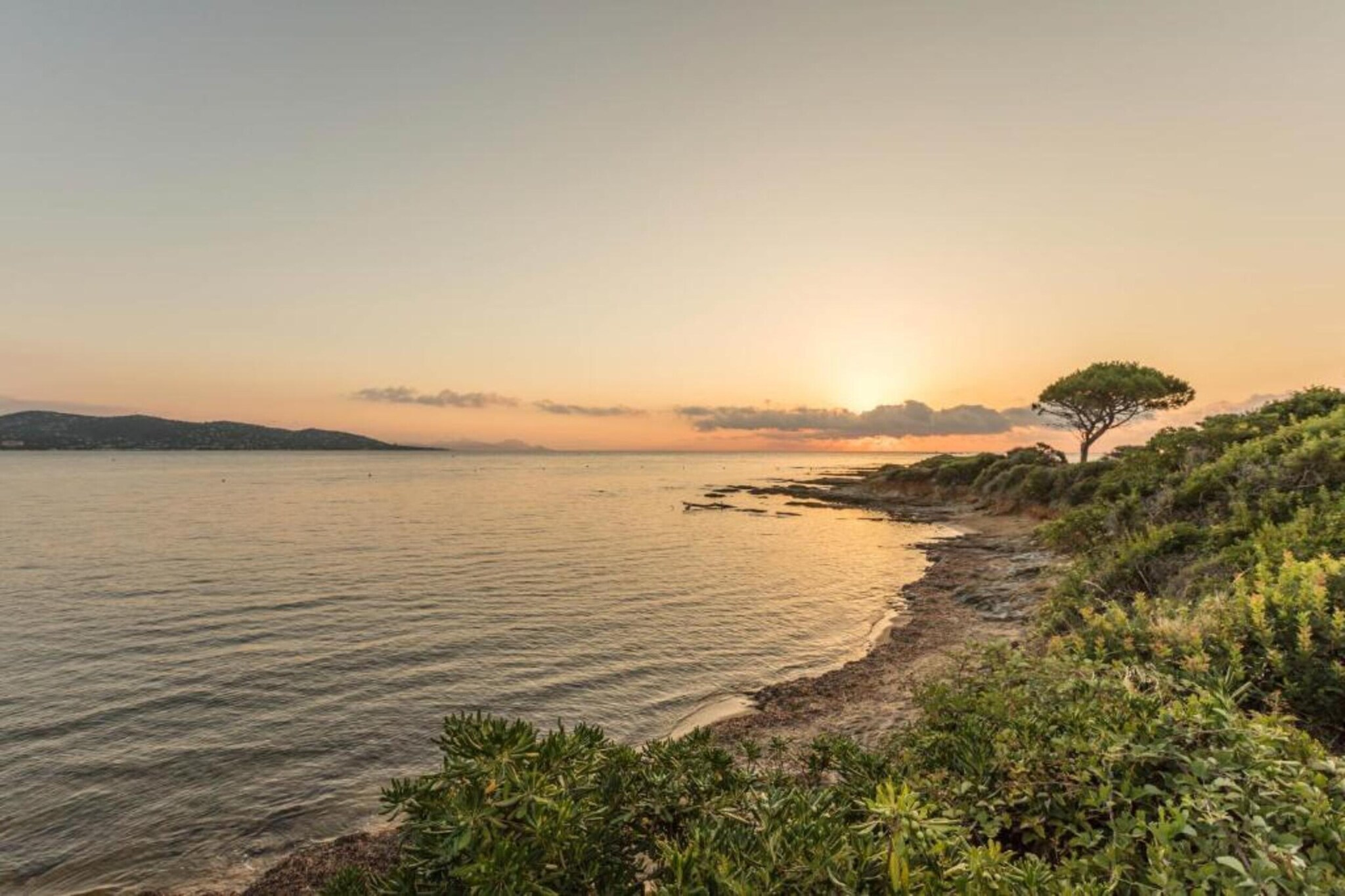 Residence Port Marine 2-Areas summer 20km