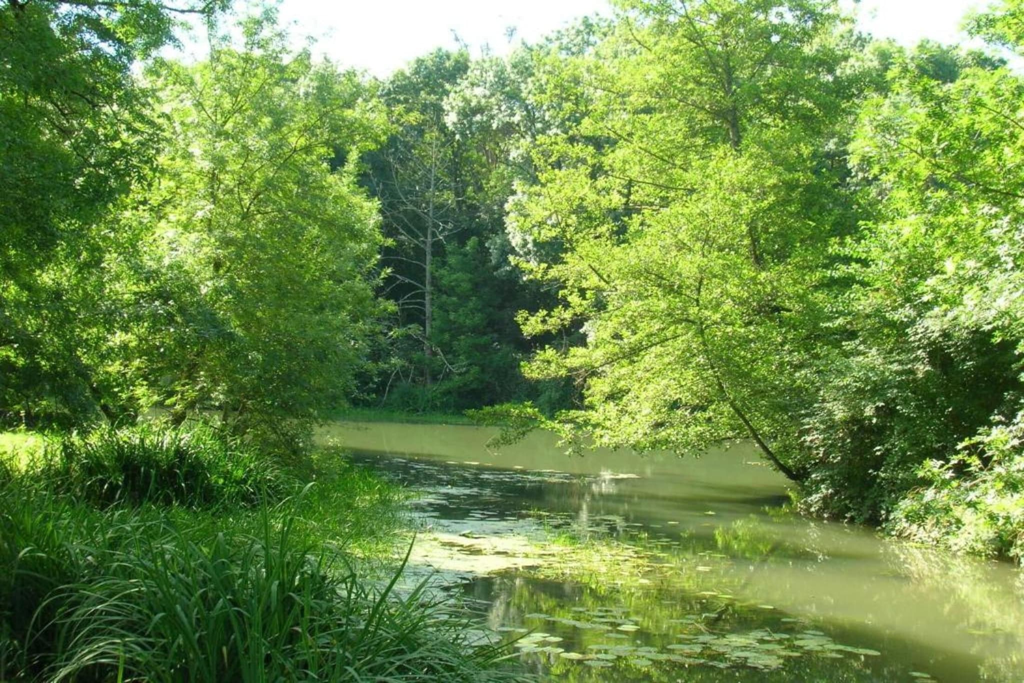 Residence Les Jardins Renaissance 1-Gebieden zomer 5km