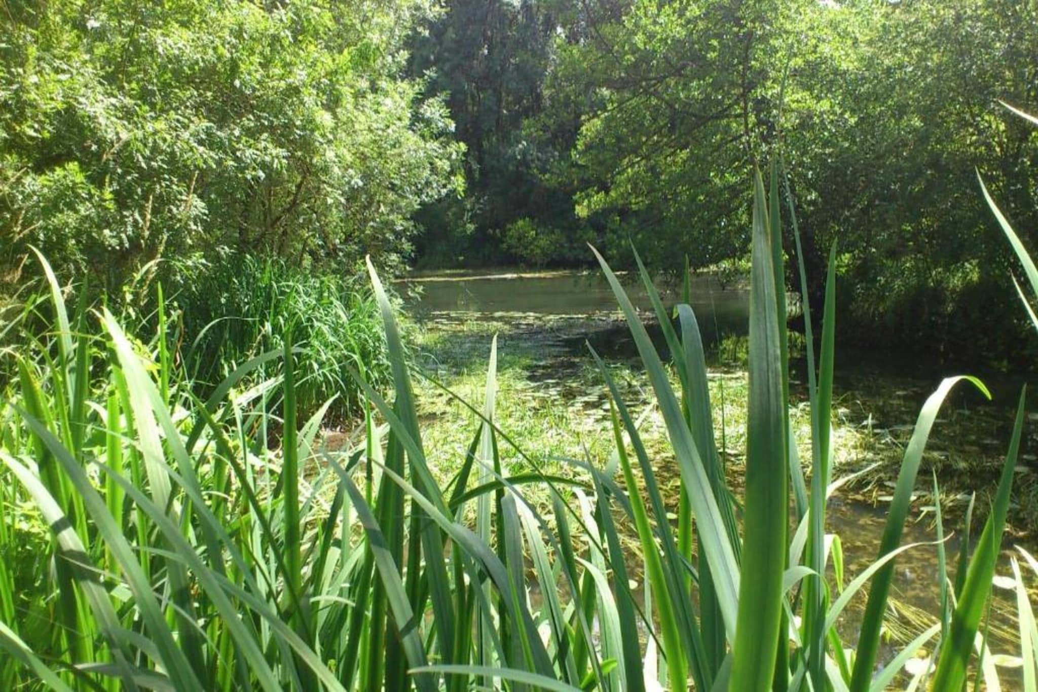 Residence Les Jardins Renaissance 1-Gebieden zomer 20km