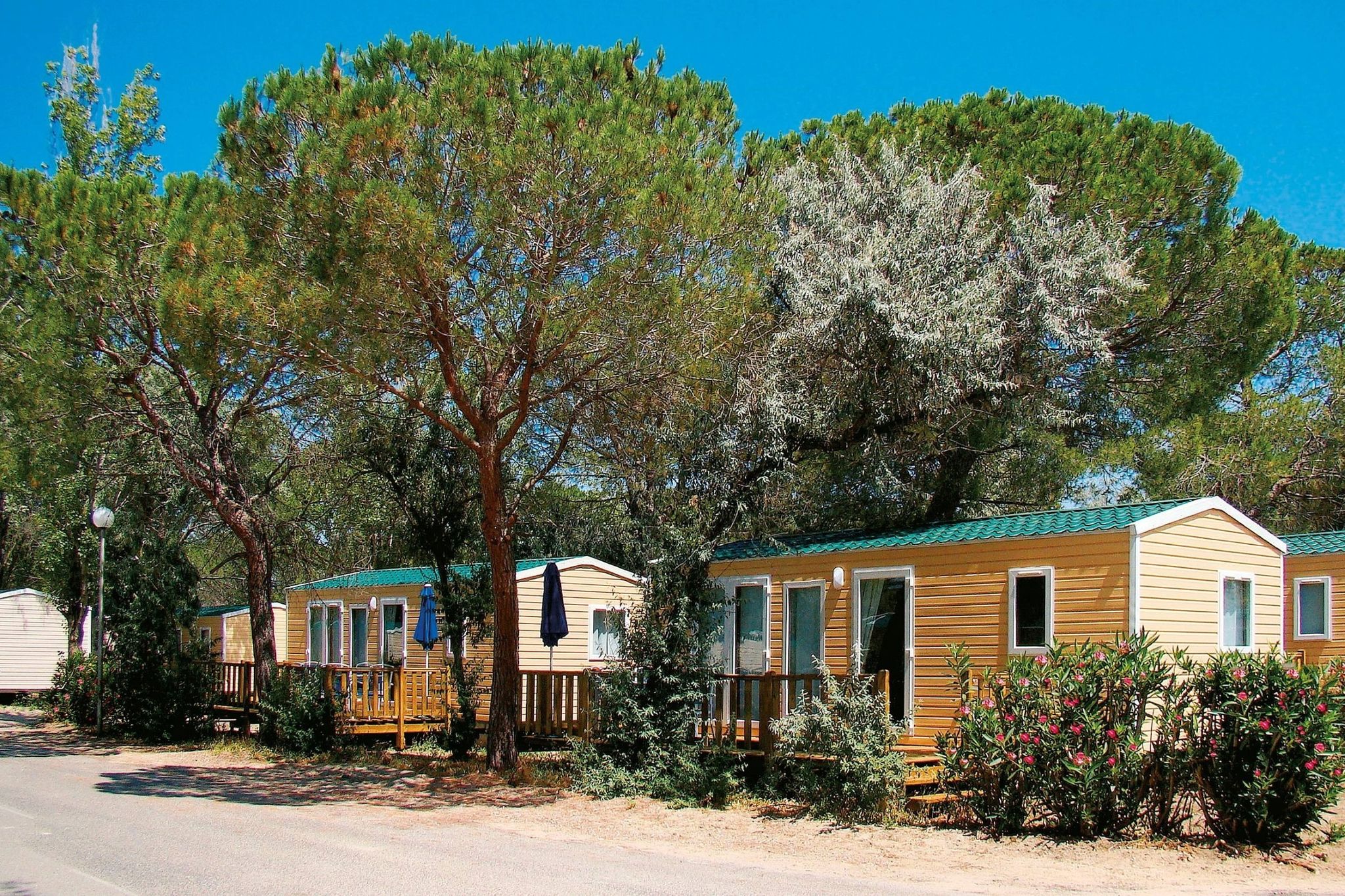 Pretty mobile home in the quaint, green Camargue surroundings