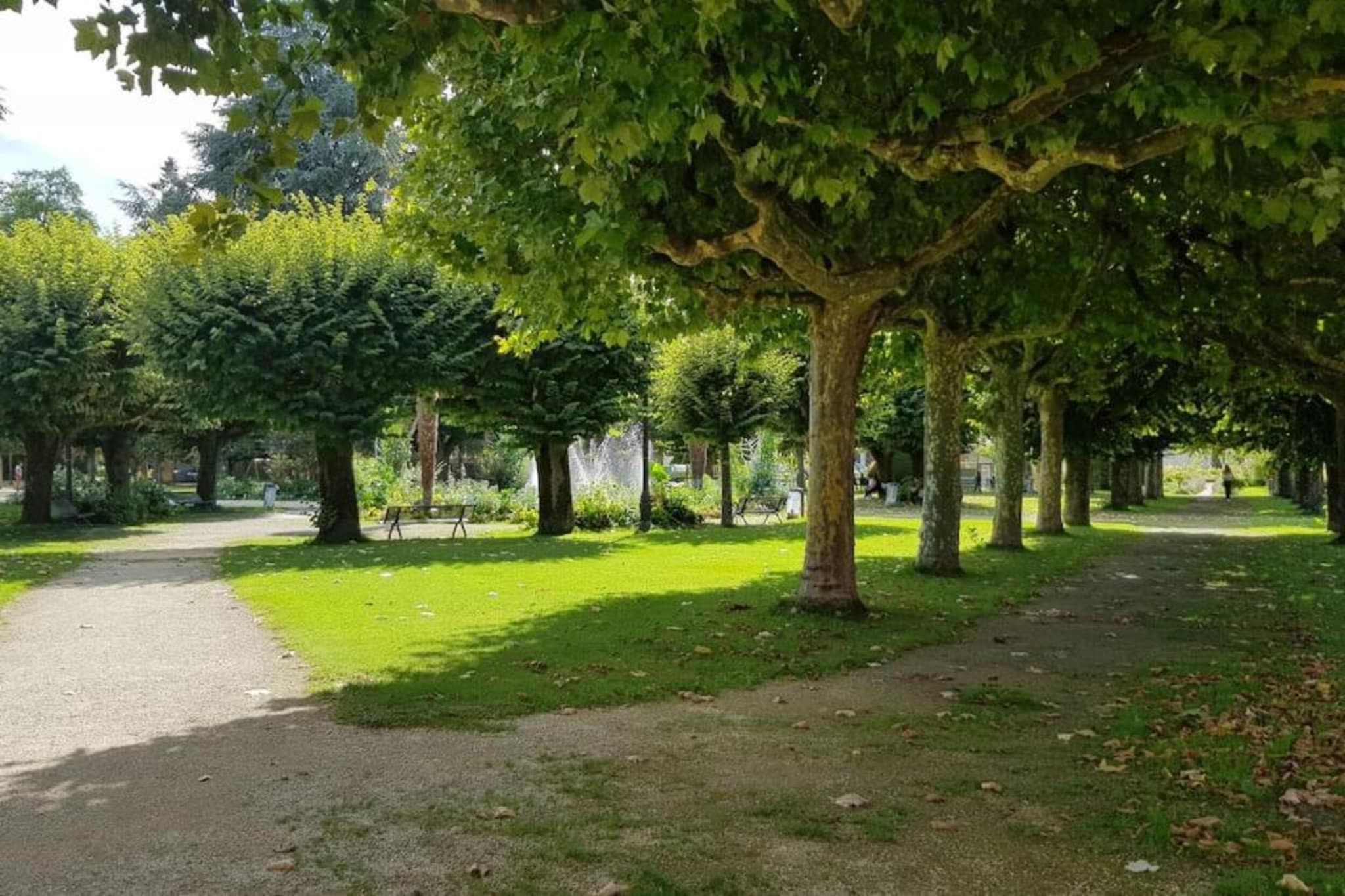 Les Bastides de Lascaux 3-Areas summer 20km