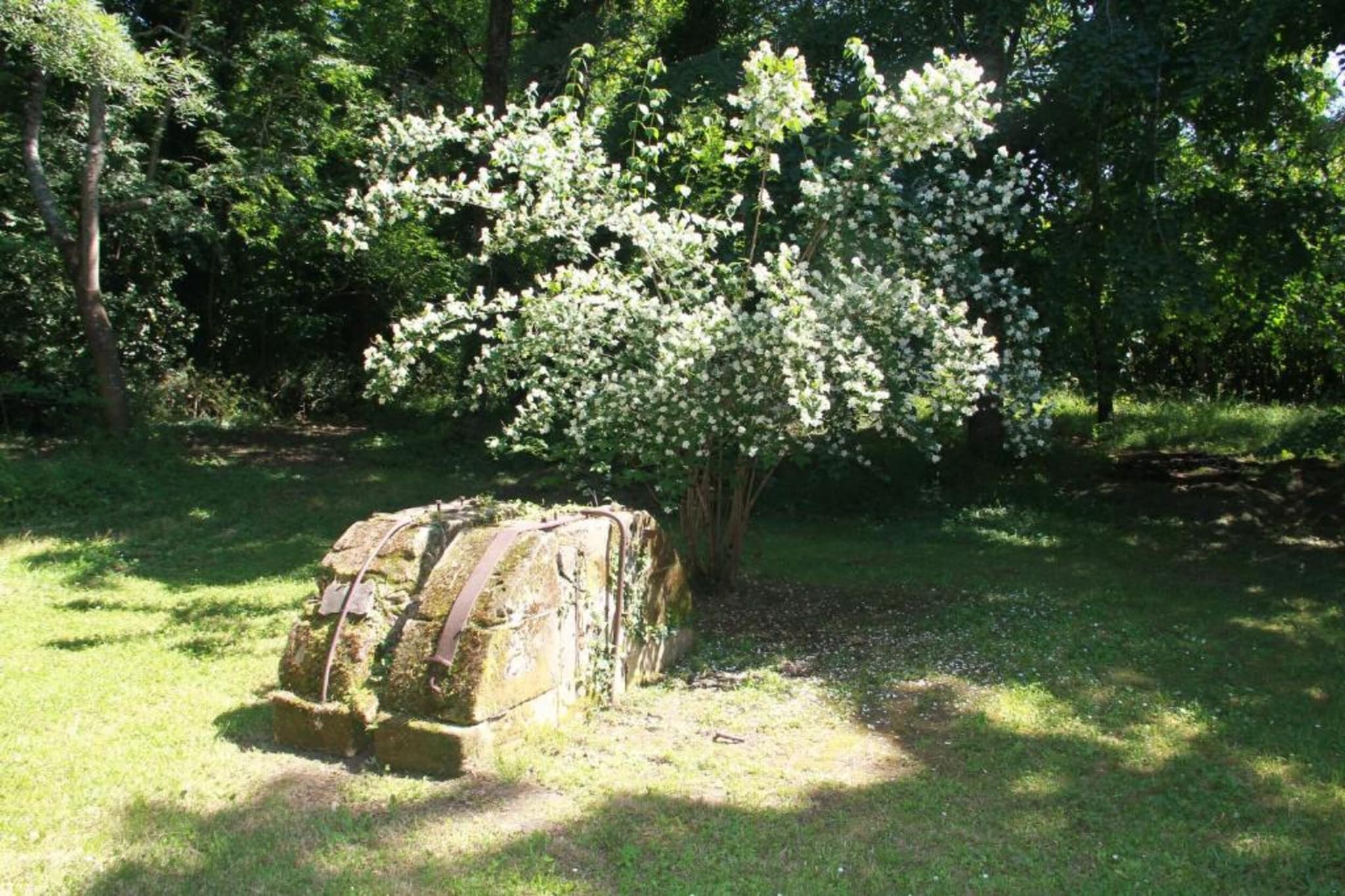 Les Bastides de Lascaux 2-Areas summer 20km