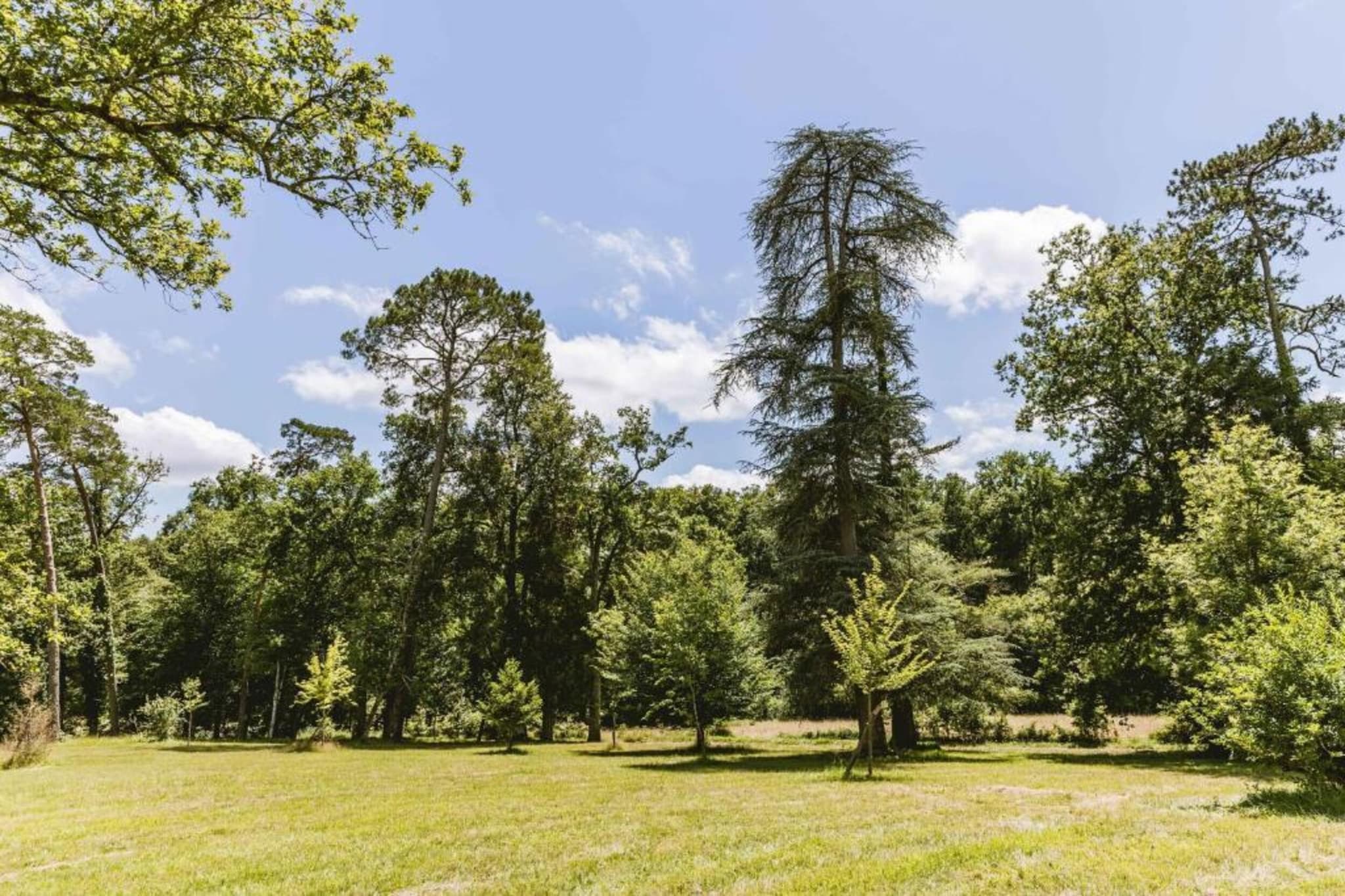 Les Bastides de Lascaux 2-Areas summer 20km