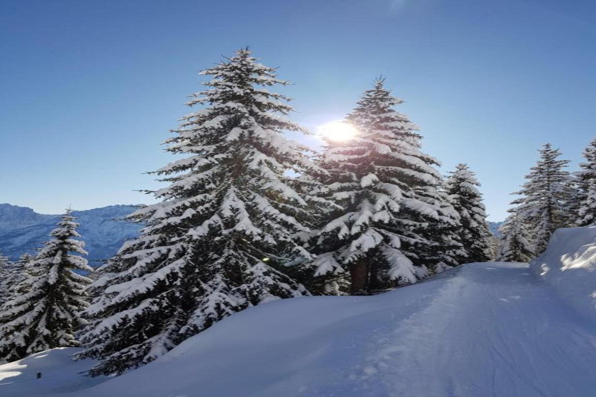 Haus Schweiger-Gebied winter 20km