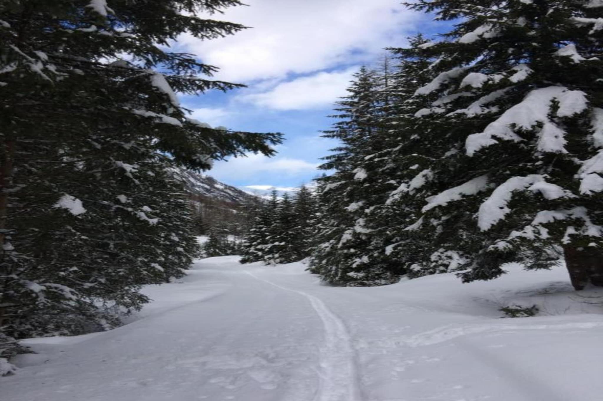 Haus Schweiger-Gebied winter 20km