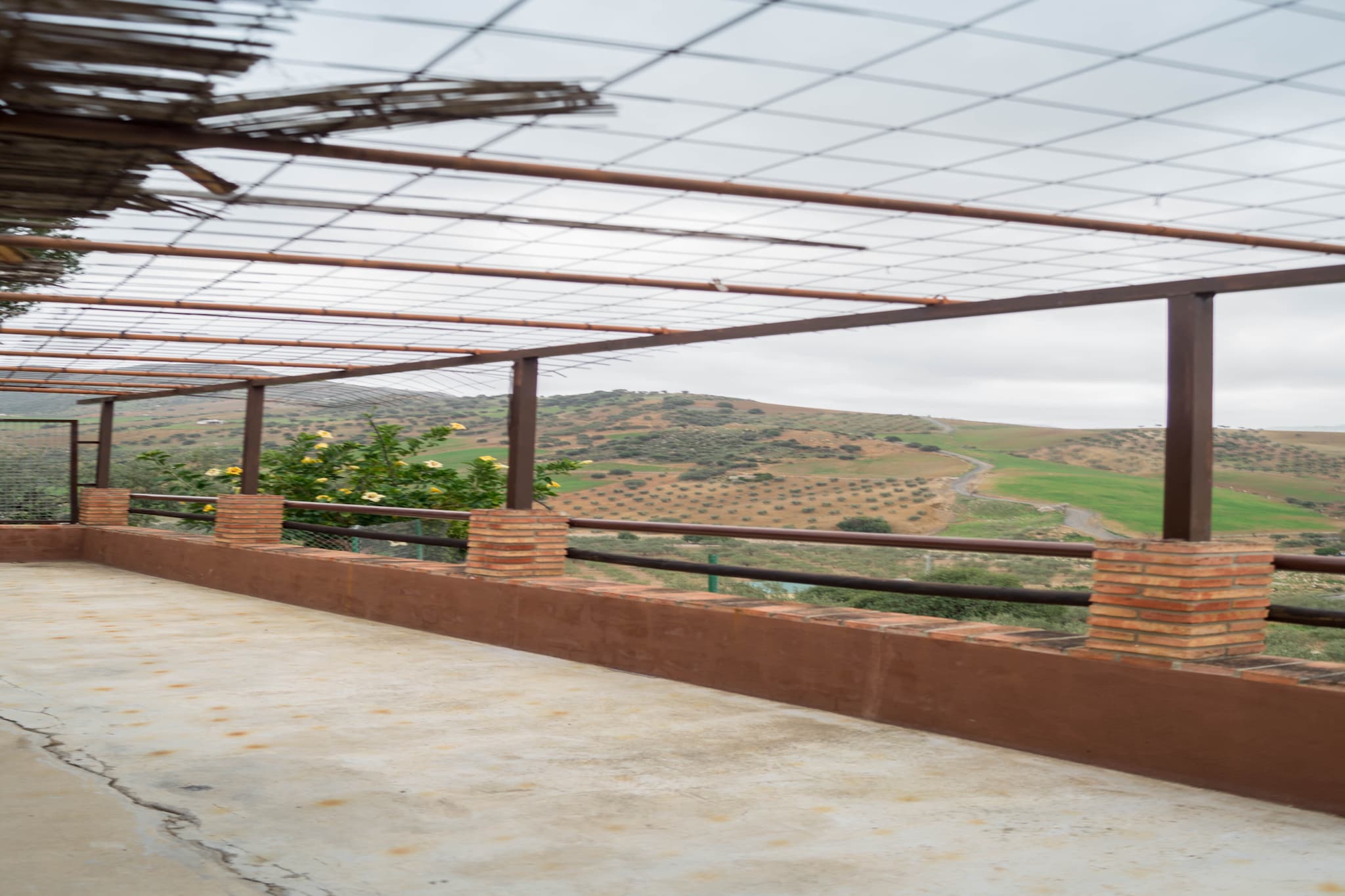 Casa Los Olivos-View summer