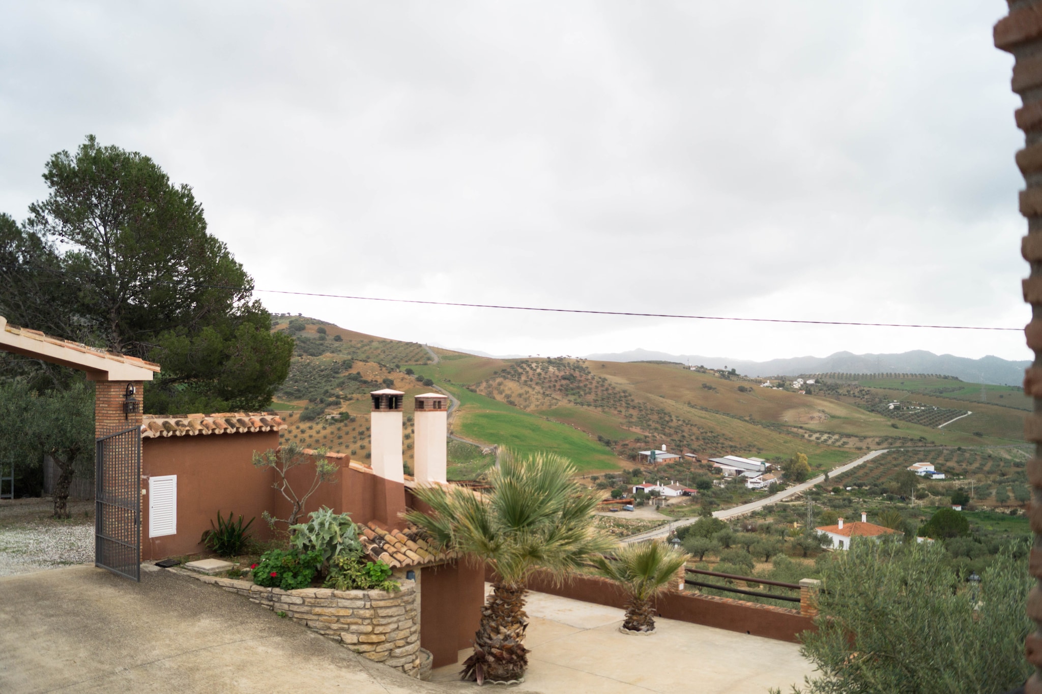 Casa Los Olivos-Garden winter