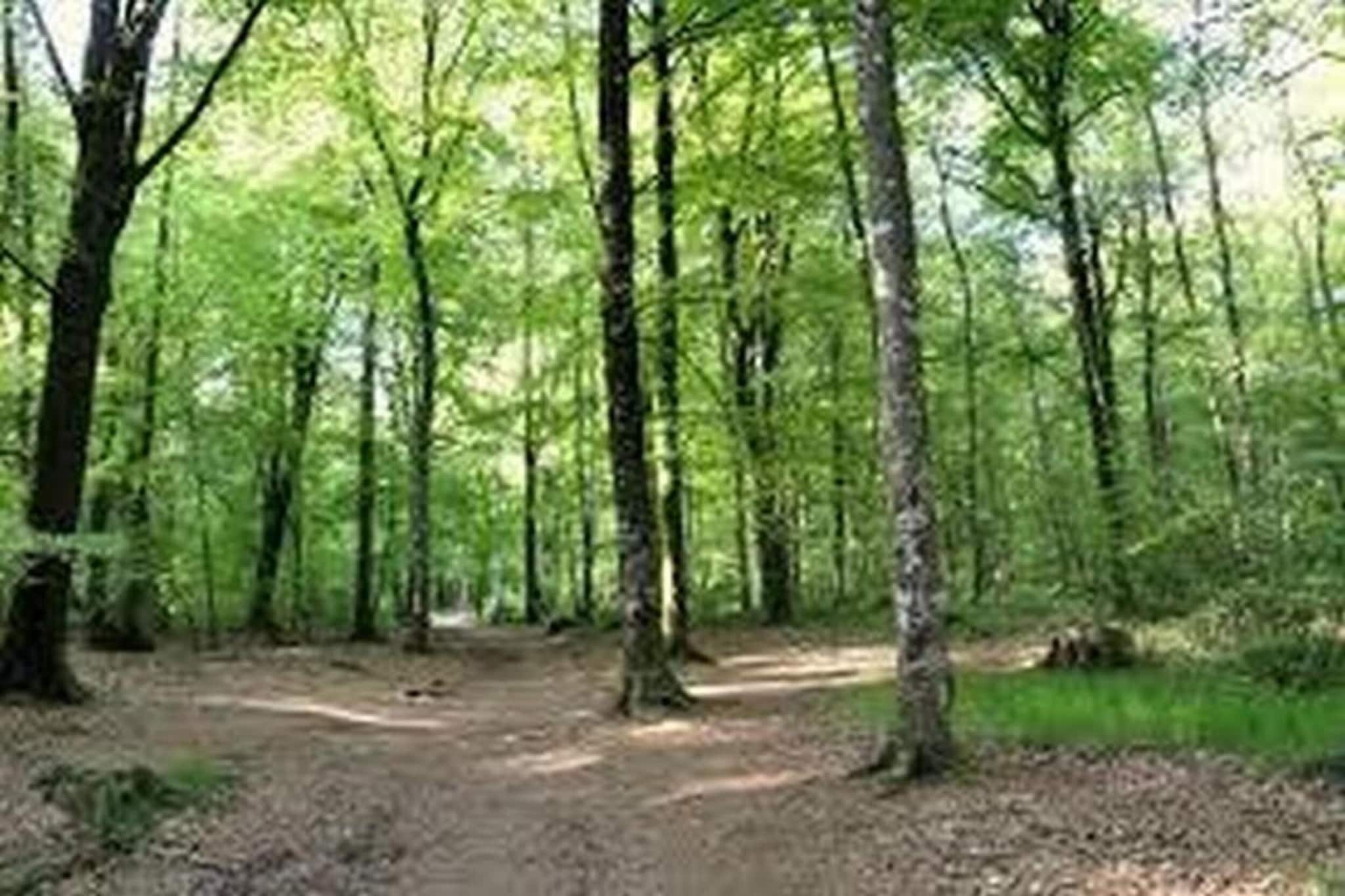 Résidence Le Domaine de l'Emeraude 3-Gebiete Sommer 20 km