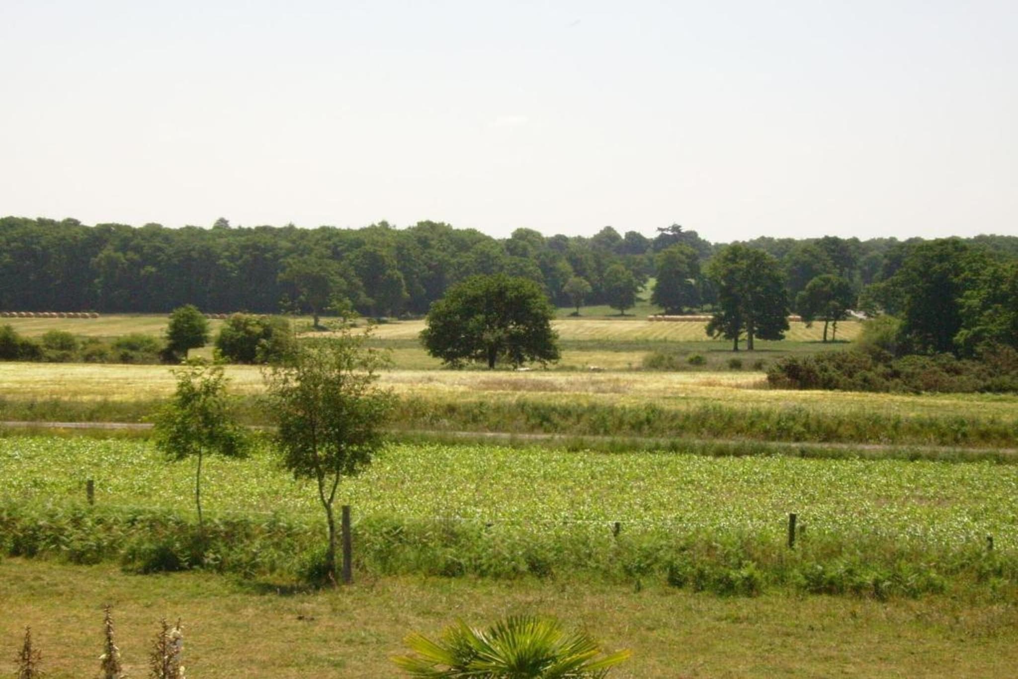 Résidence Le Domaine de l'Emeraude 2-Gebieden zomer 20km