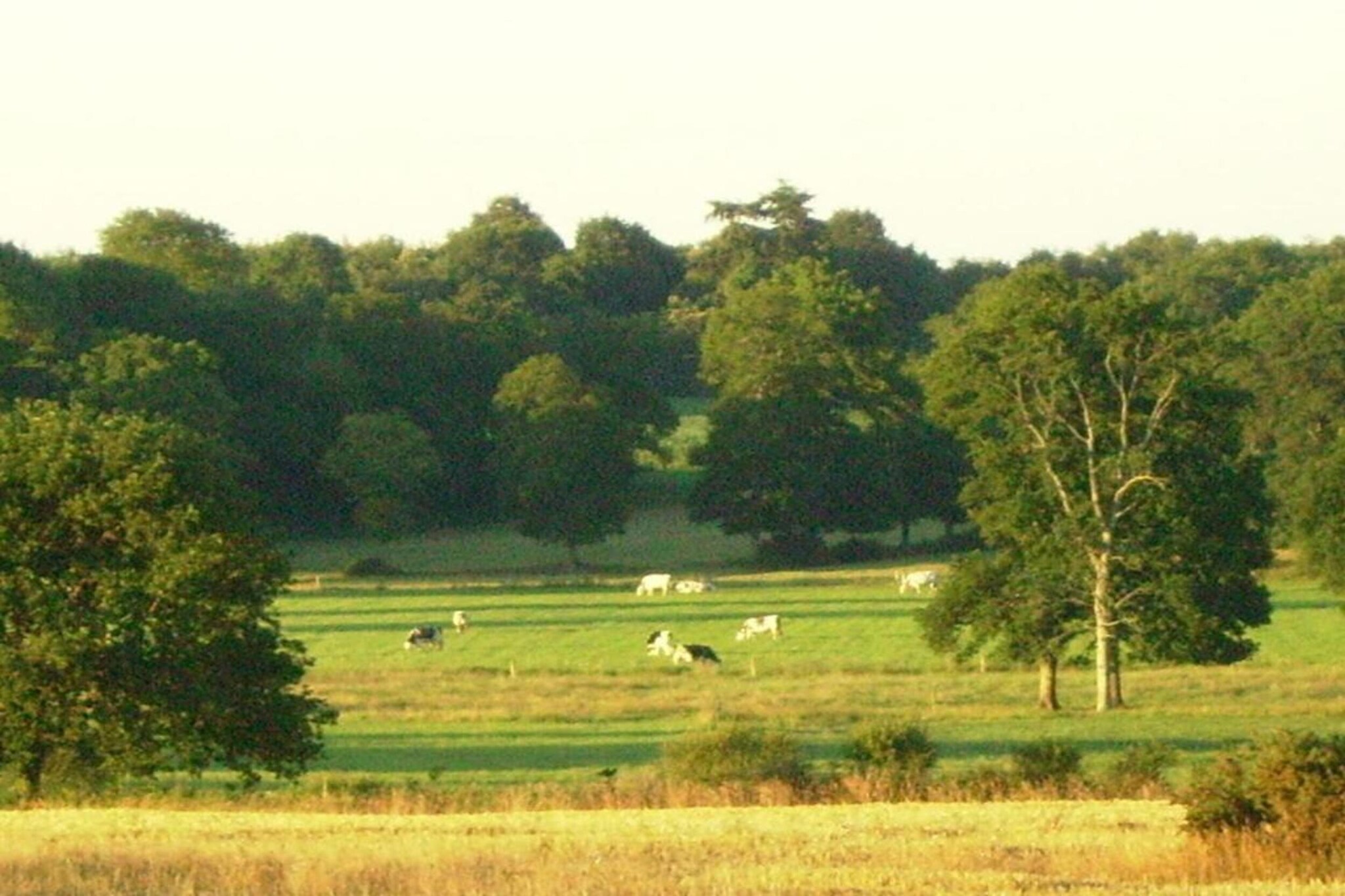 Résidence Le Domaine de l'Emeraude 2-Gebieden zomer 20km