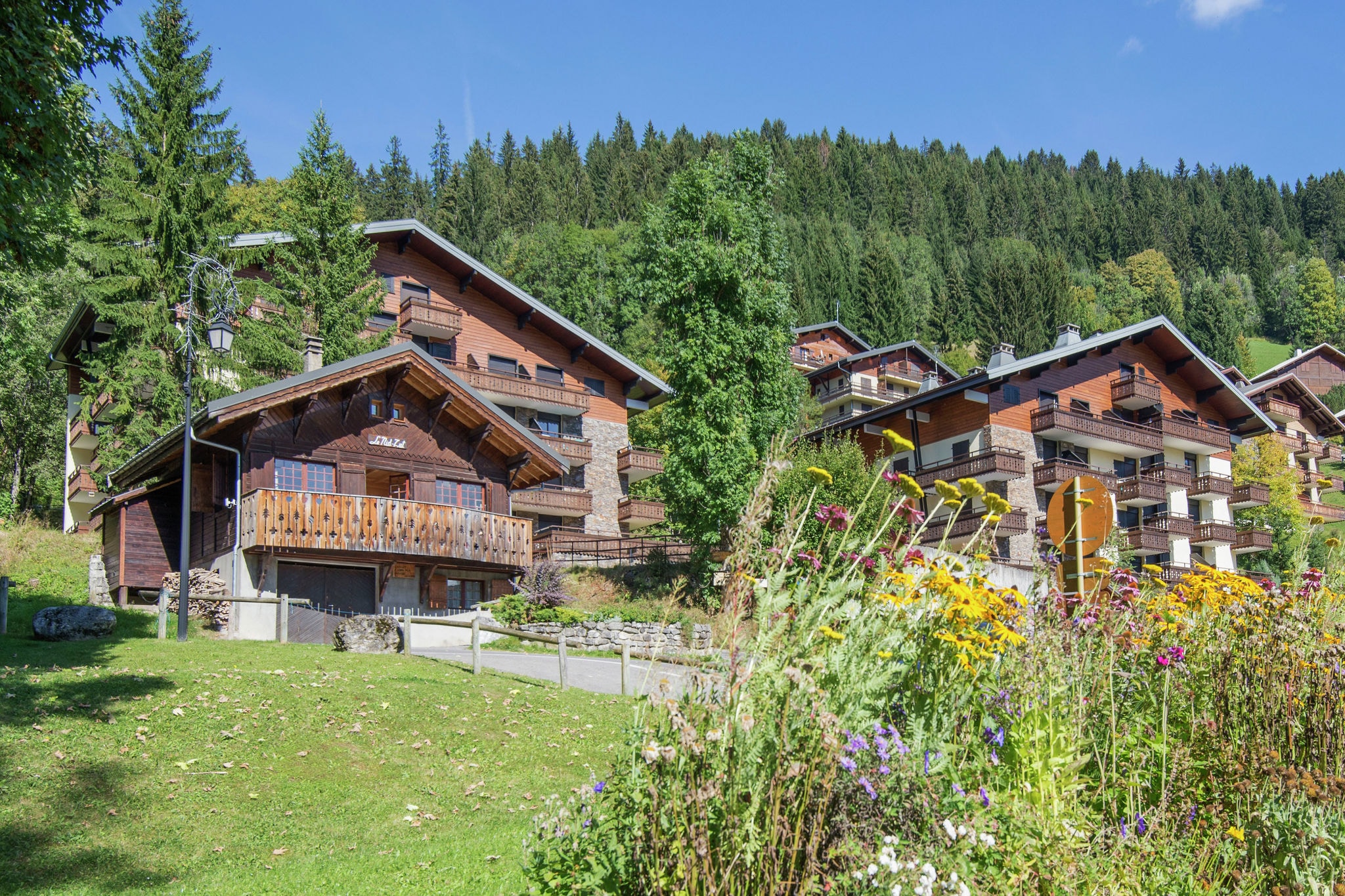 Mountain-view Chalet in Châtel near Skiing Area