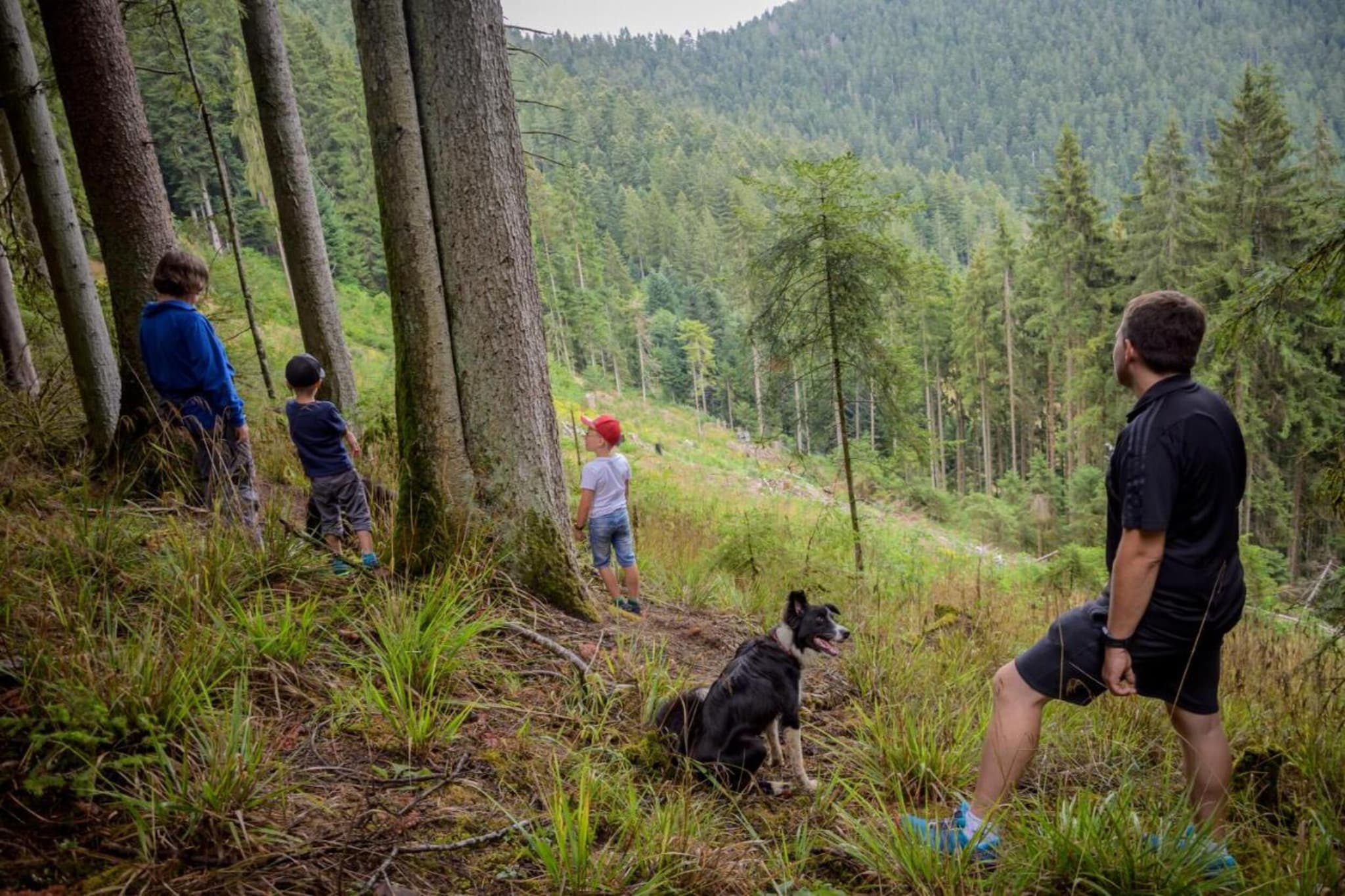 Panoramablick-Gebieden zomer 20km