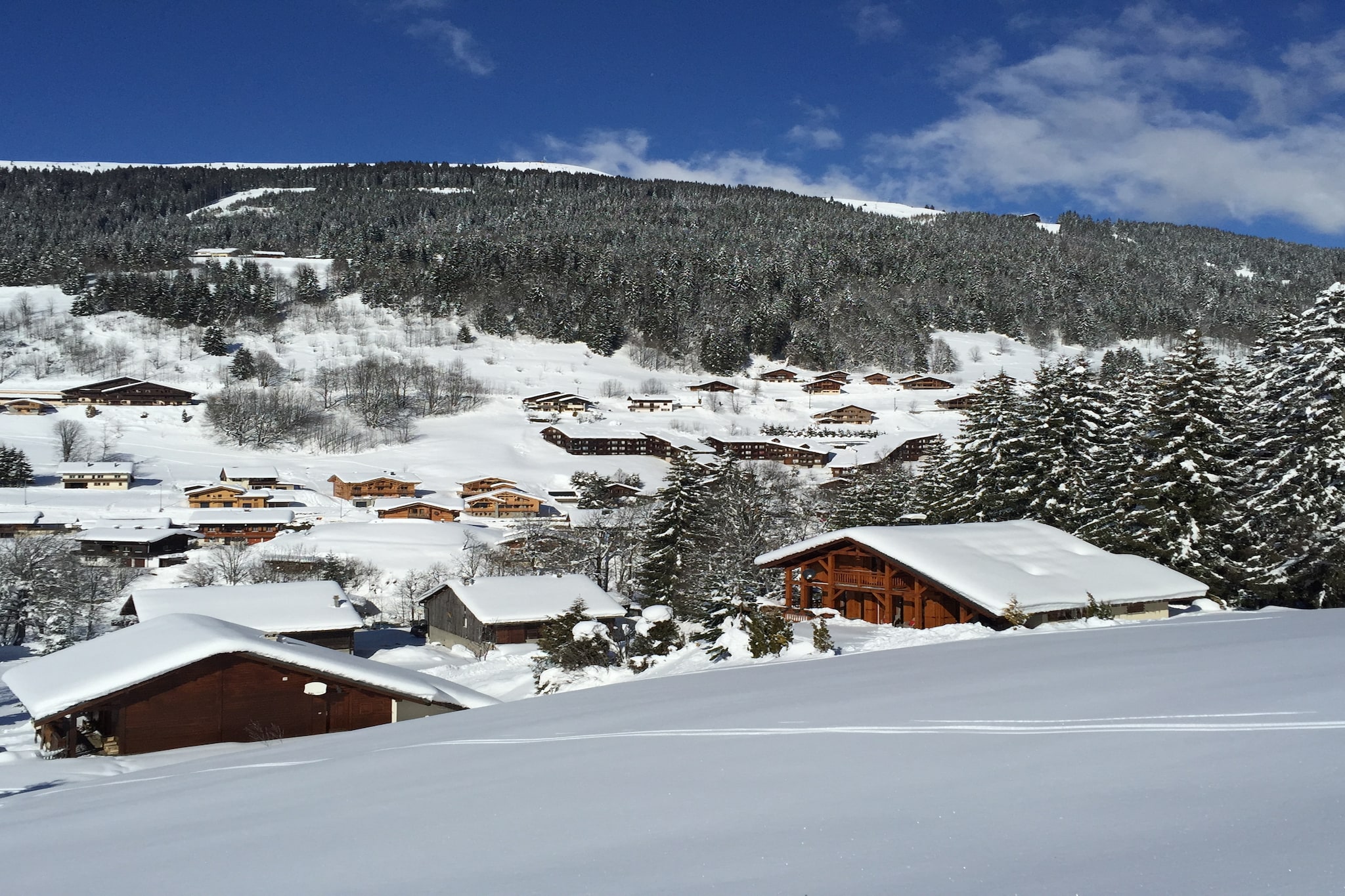 Chalet in Les Gets with Ski-In/Ski-Out Access