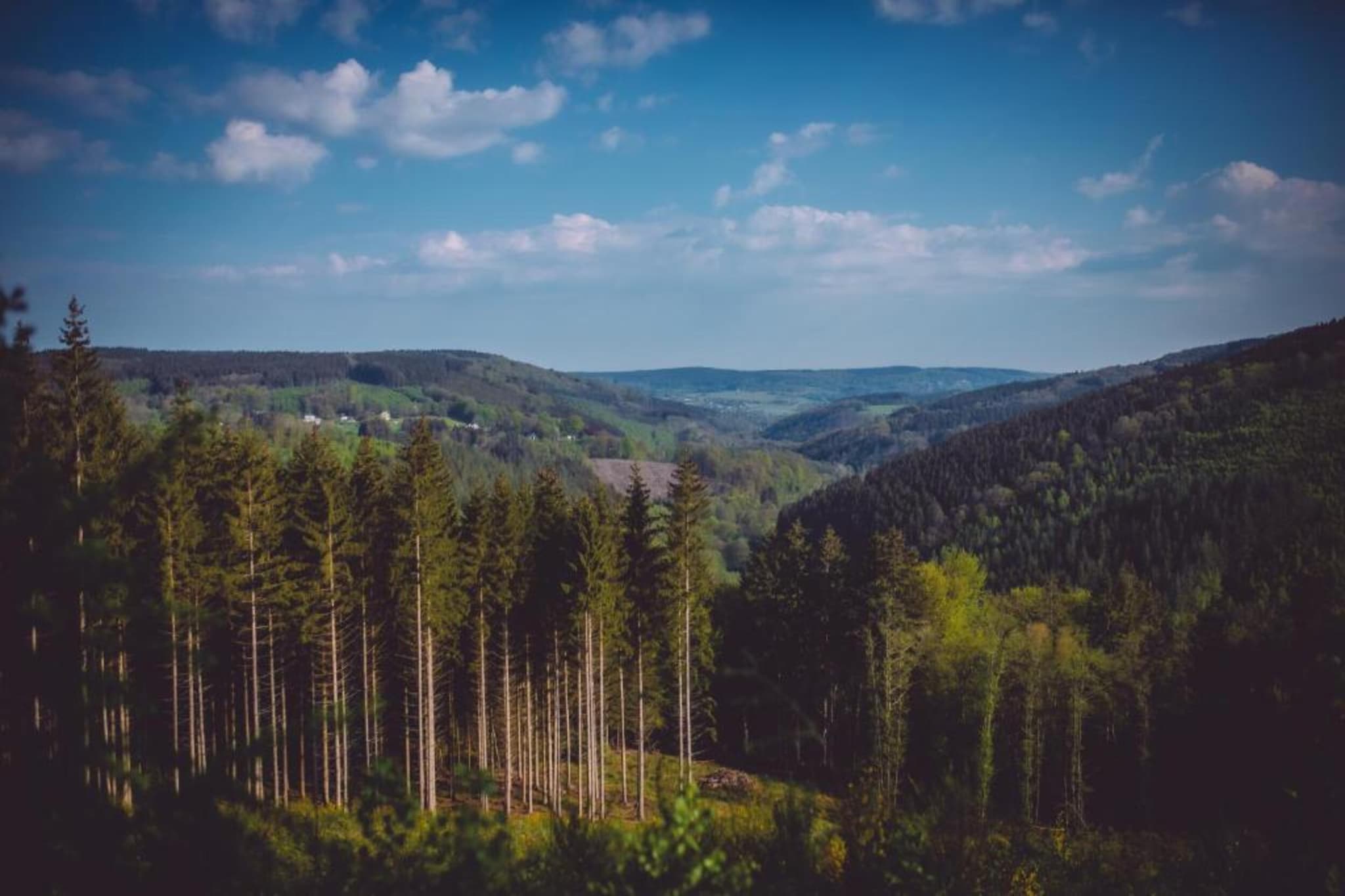 Le Noyer-Gebiete Sommer 20 km
